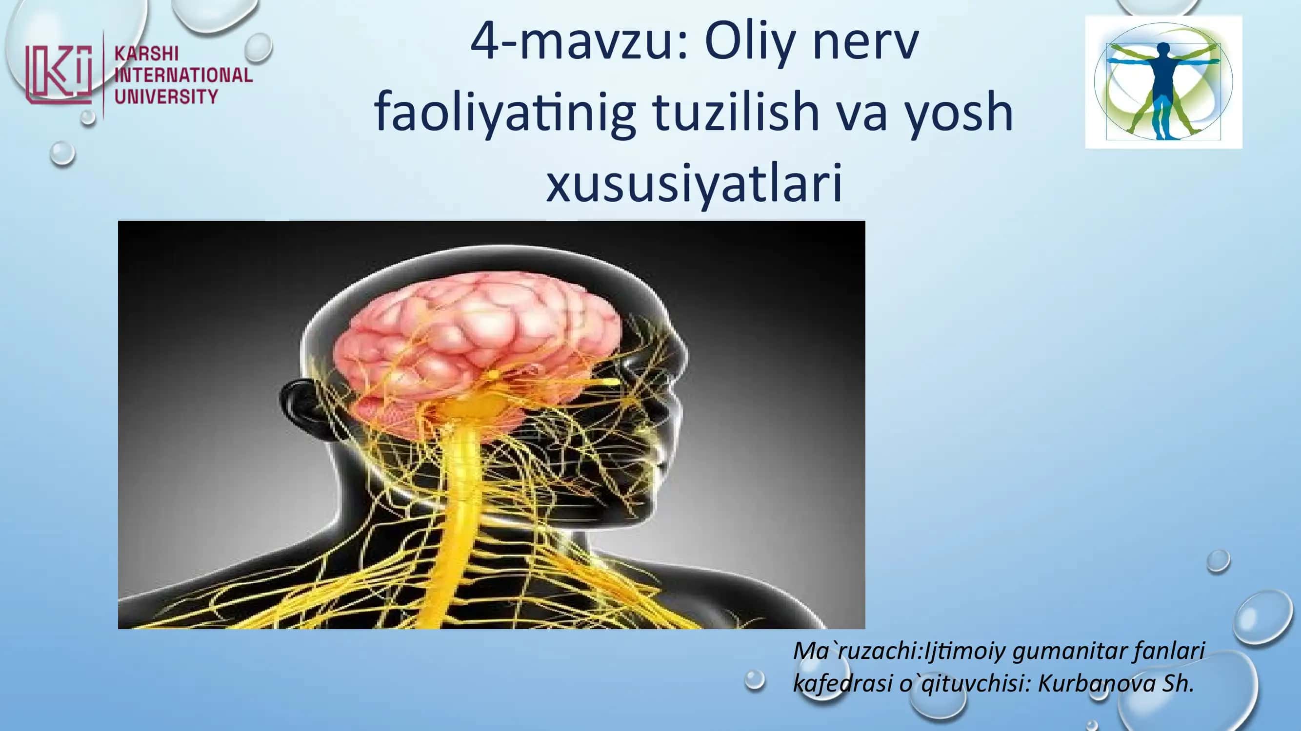 Oliy nerv faoliyati 1
