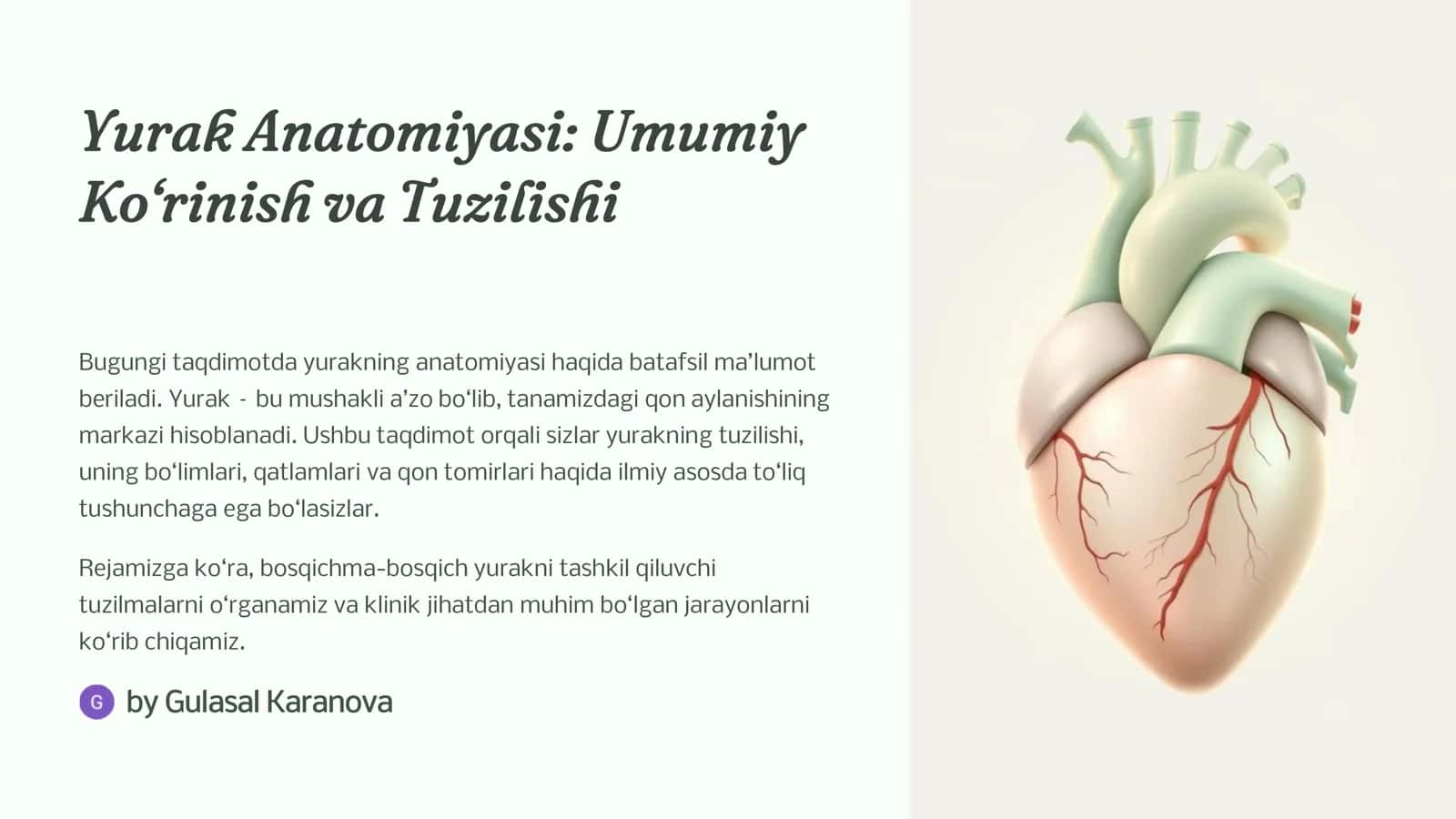 Yurak Anatomiyasi: Umumiy 1