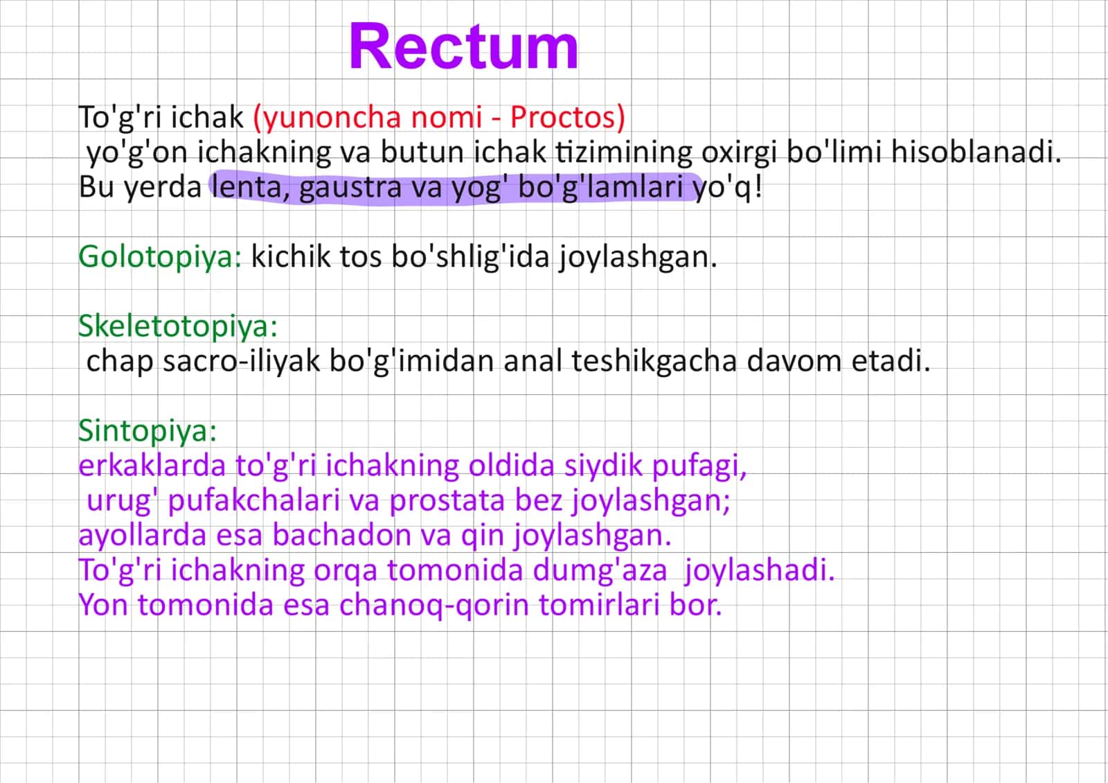 rektum, togri ichak 1