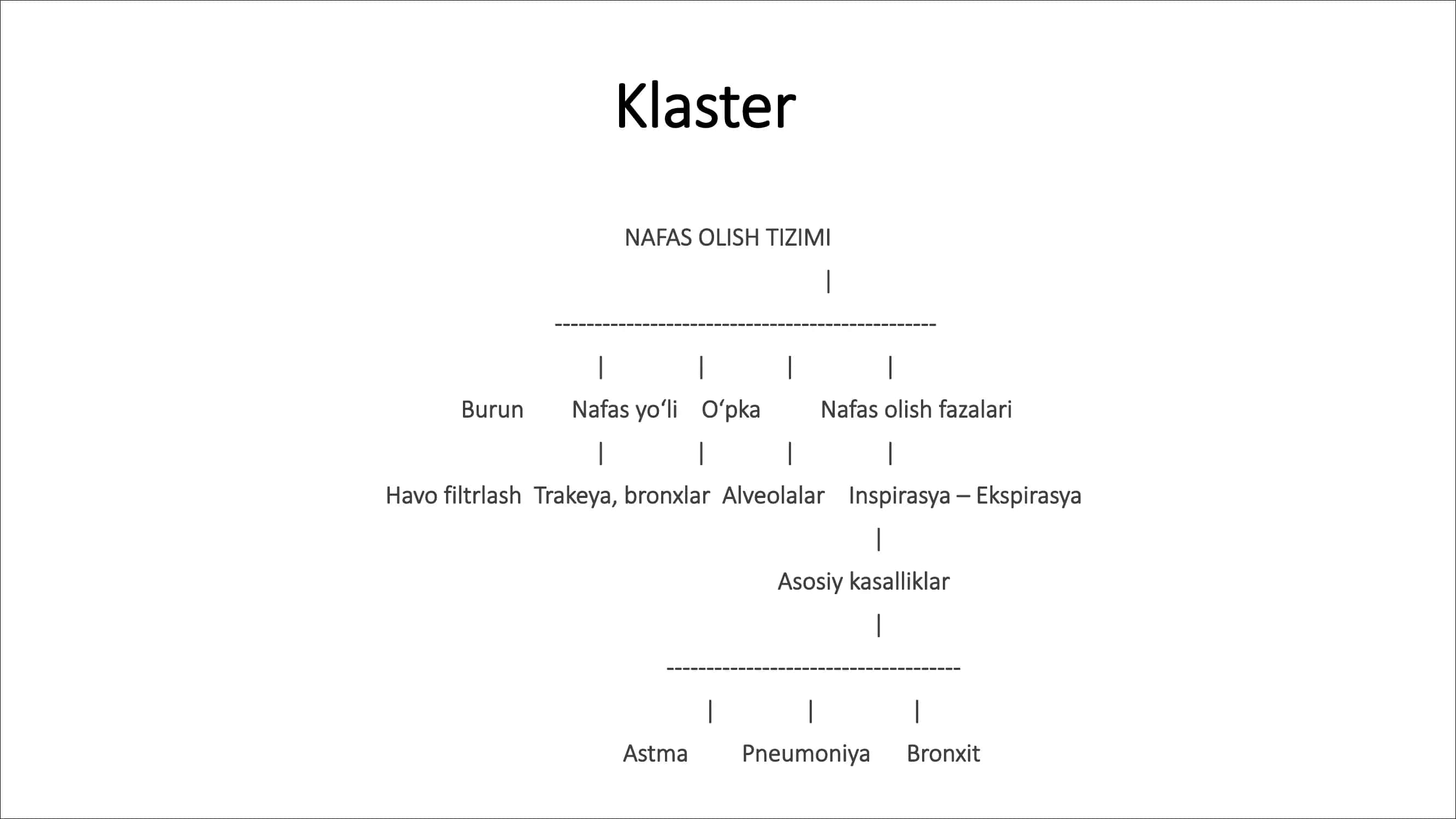 Nafas Olish Tizimi 1