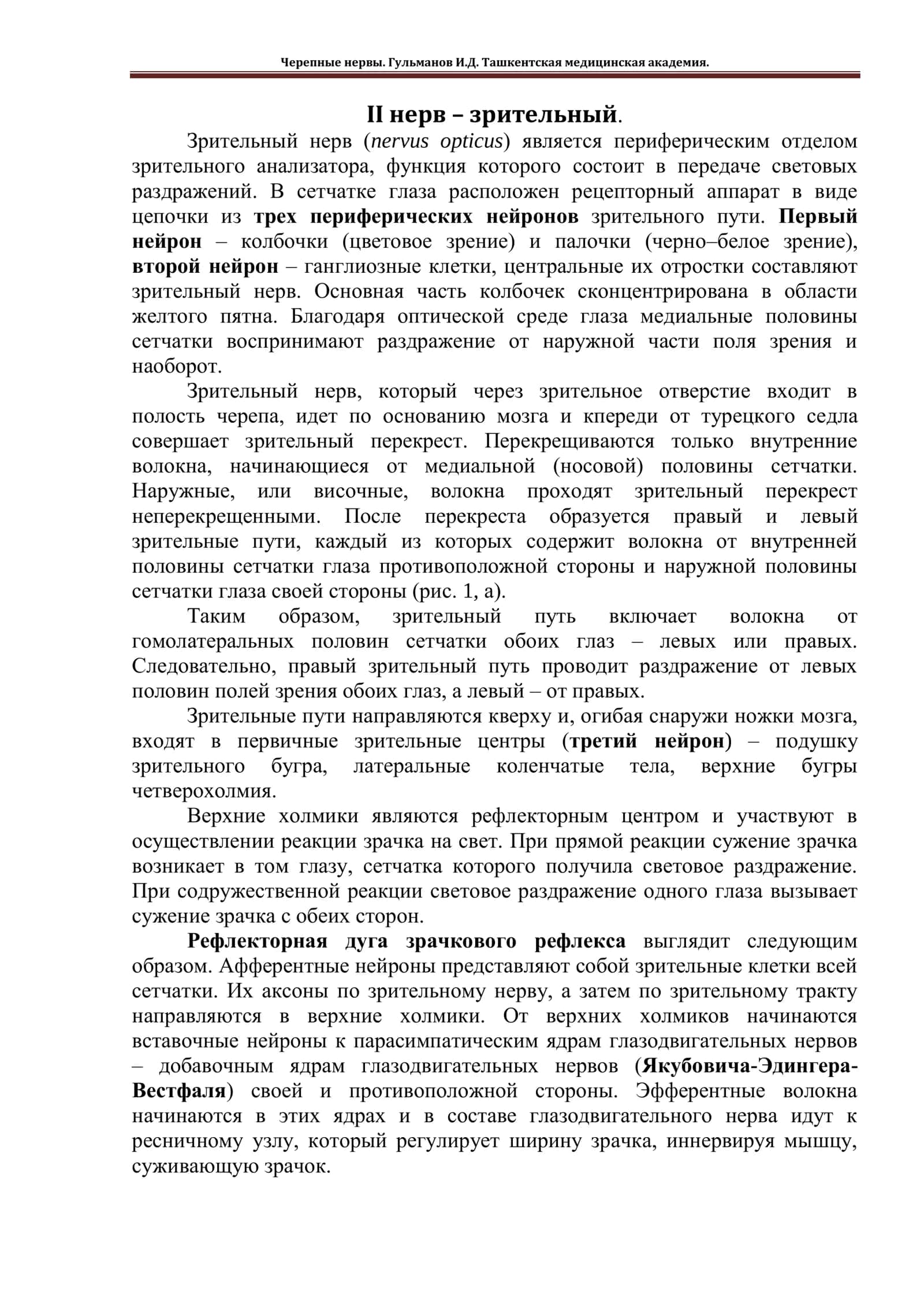 Зрительный нерв 1