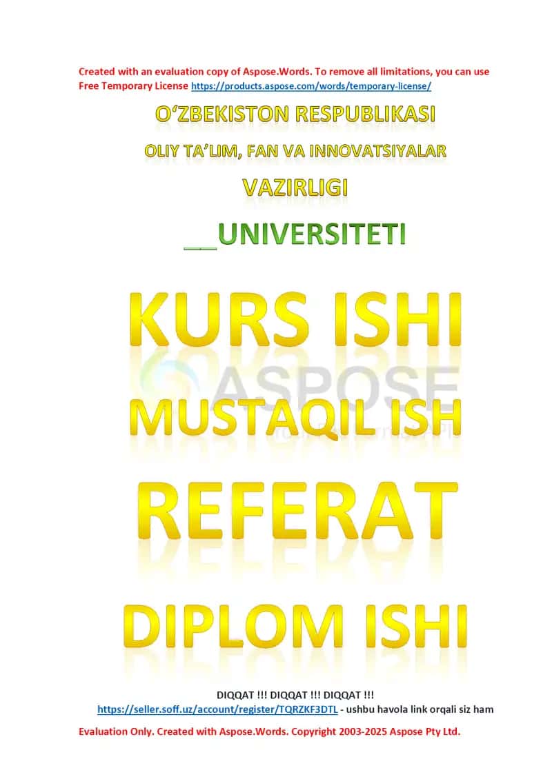 Usmonlilar imperiyasi Tanzimot davrida (Kurs ishi) 1