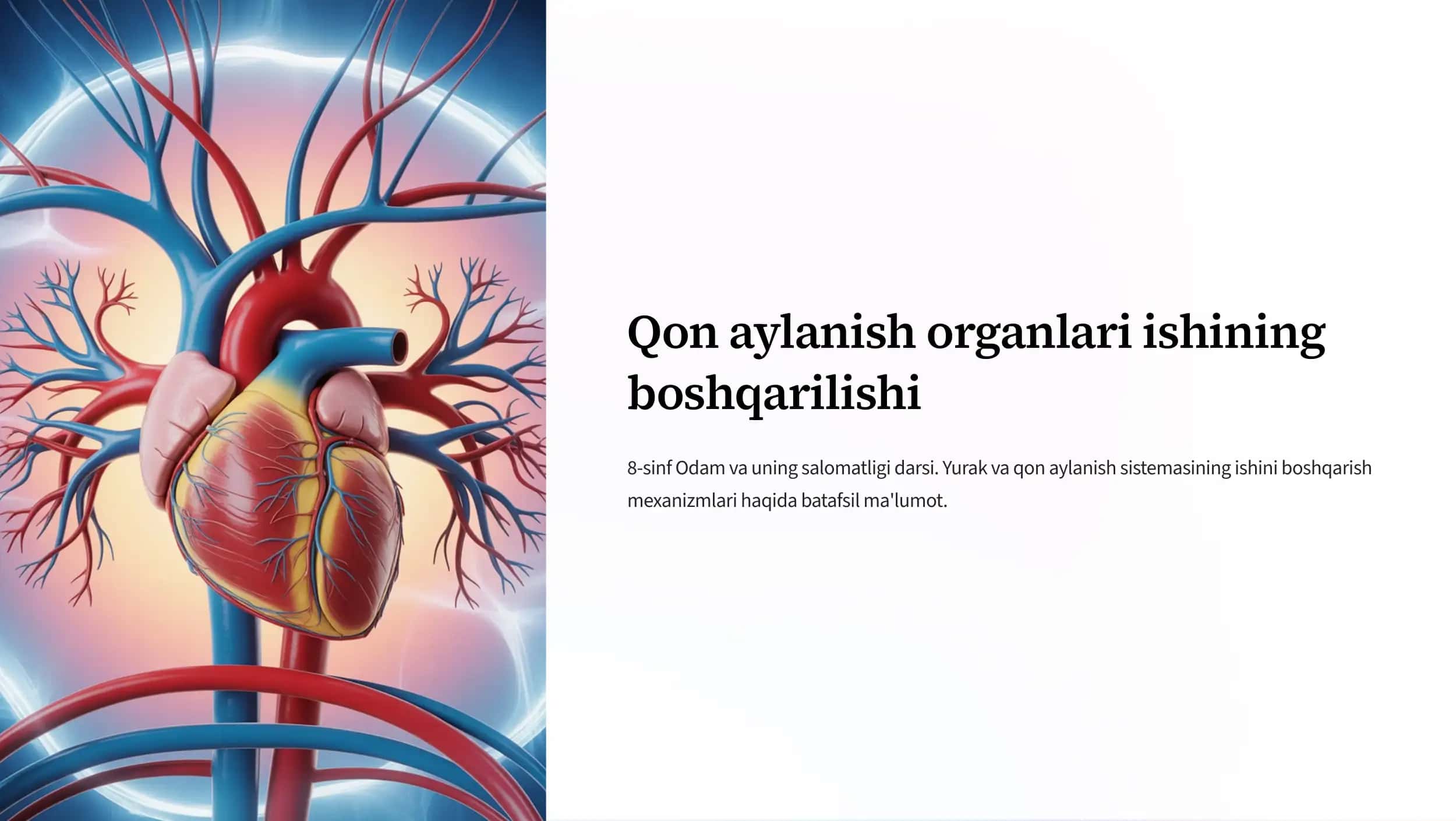 Yurak va Qon Aylanish Sistemasi Ishi boshqarilishi 1