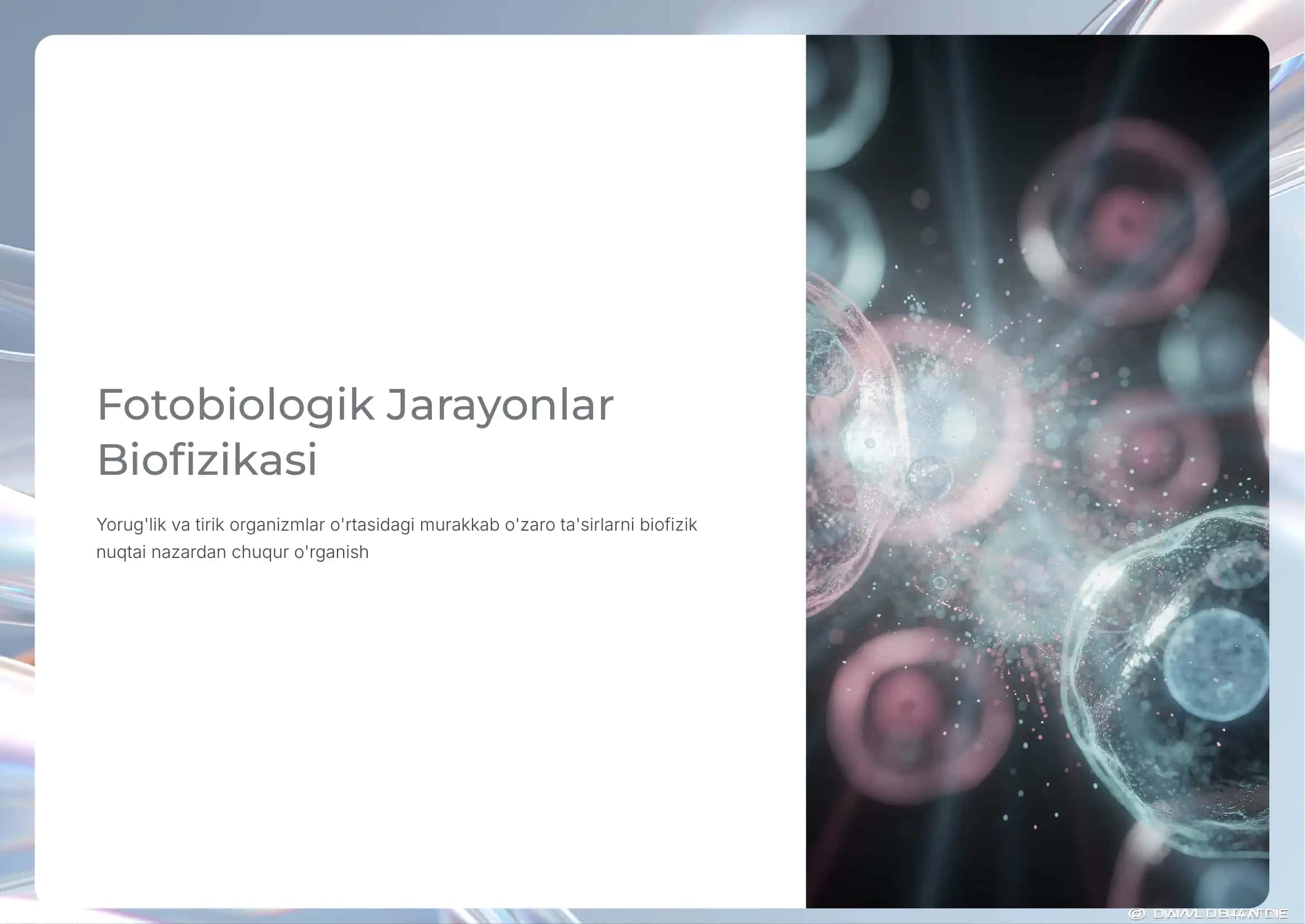 Fotobiologik Jarayonlar 1