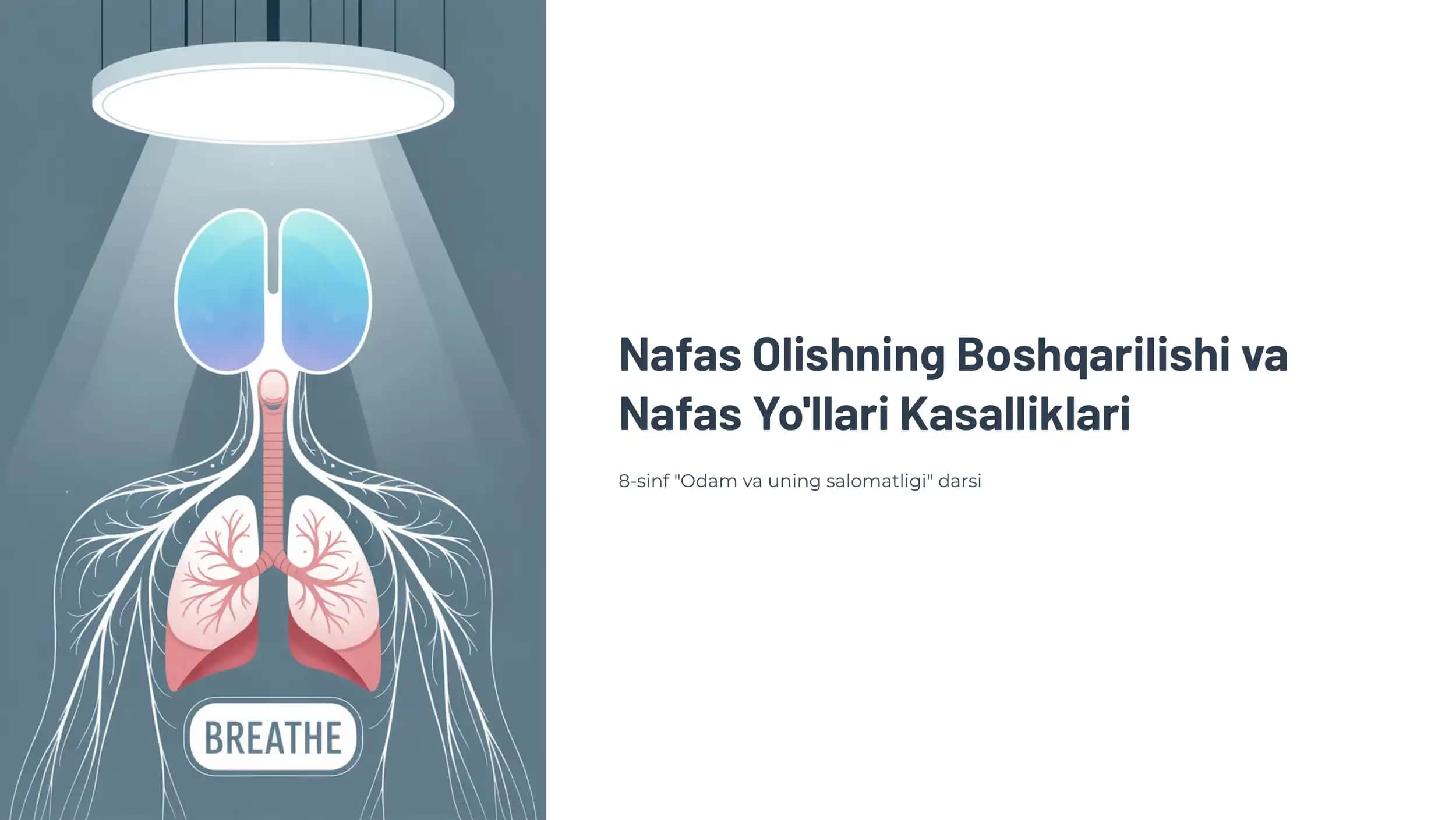 Nafas Olishning Boshqarilishi va Nafas Yo'llari Kasalliklari 1