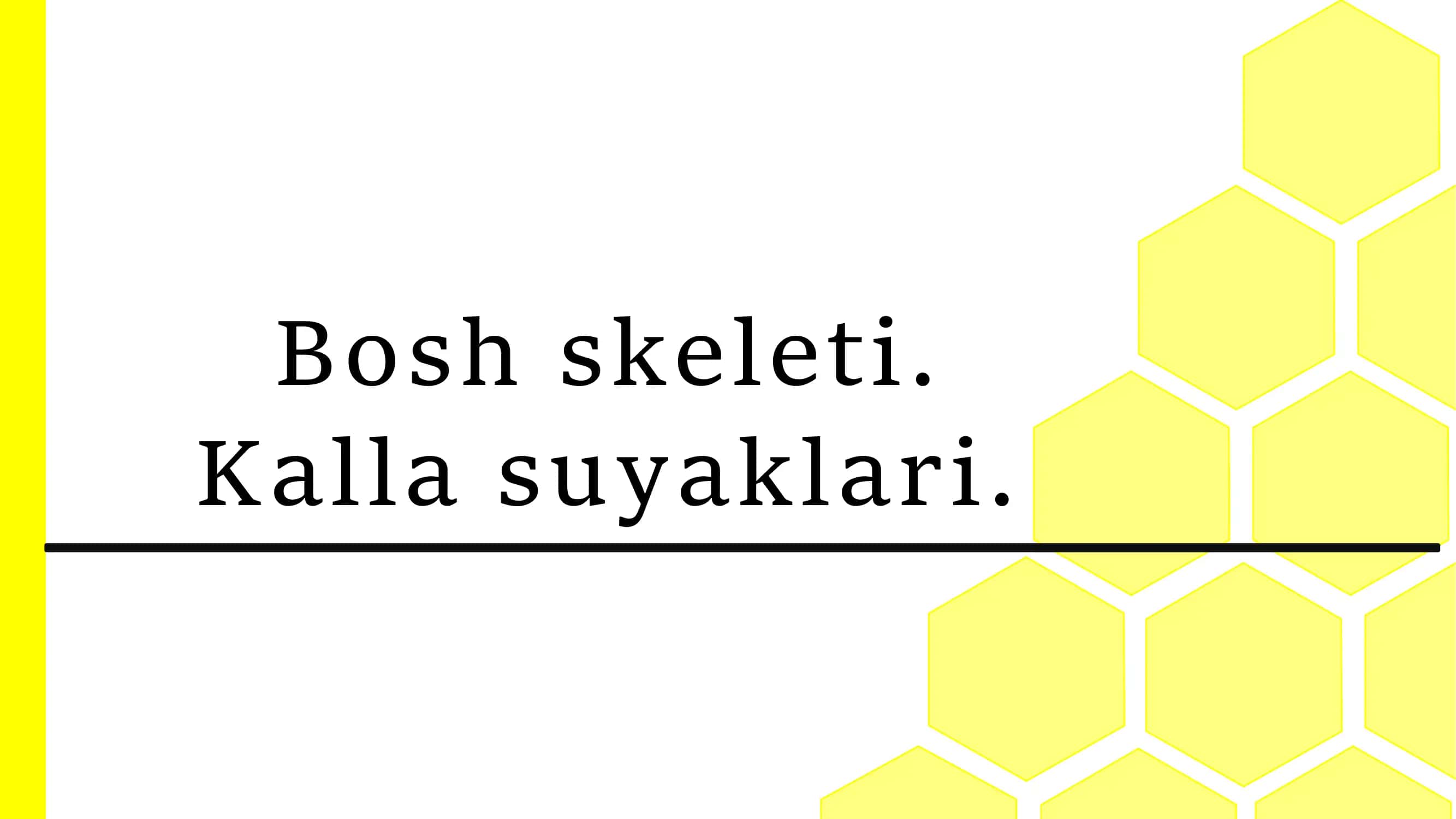Bosh skeleti 1