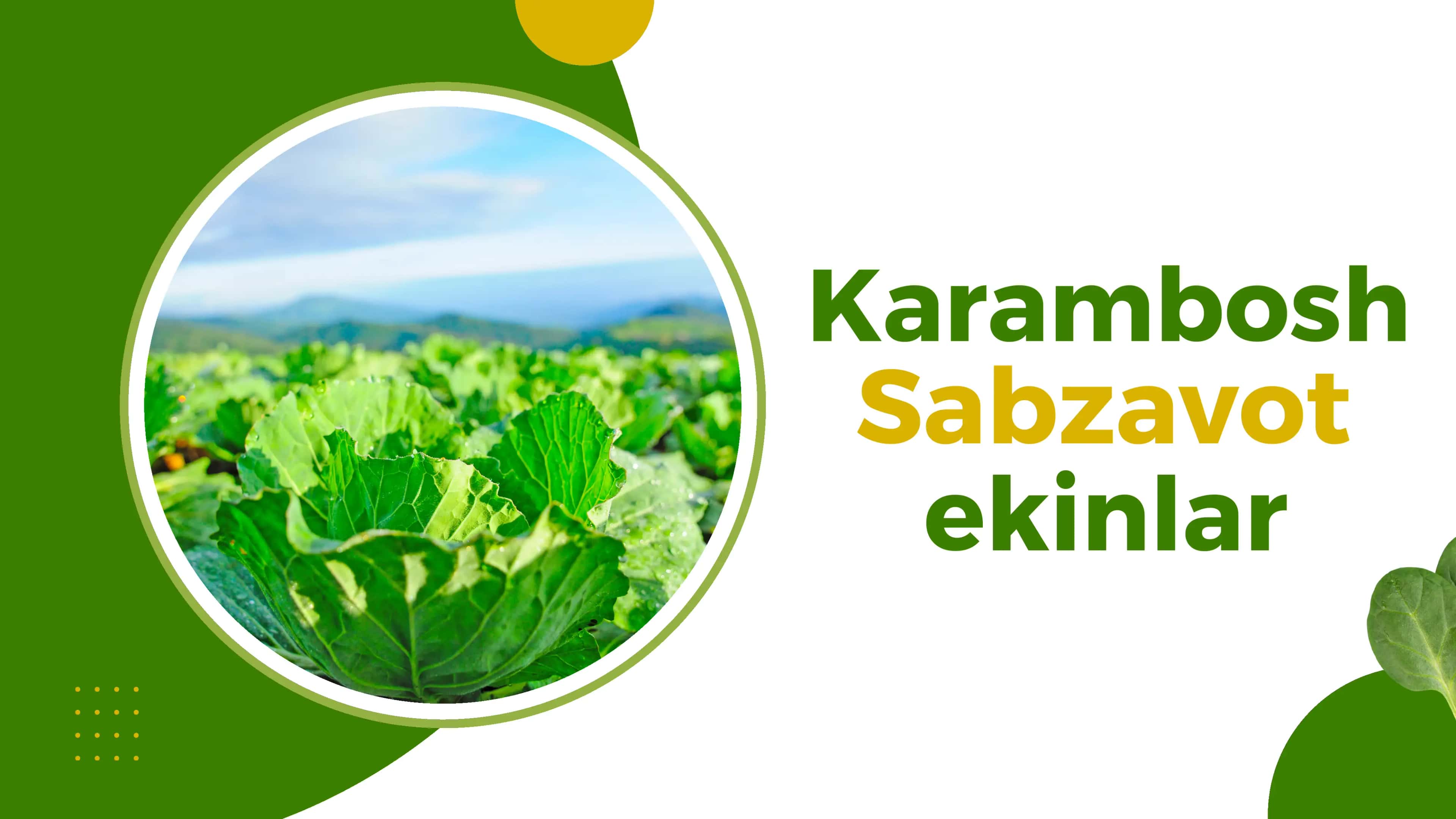 Karambosh 1