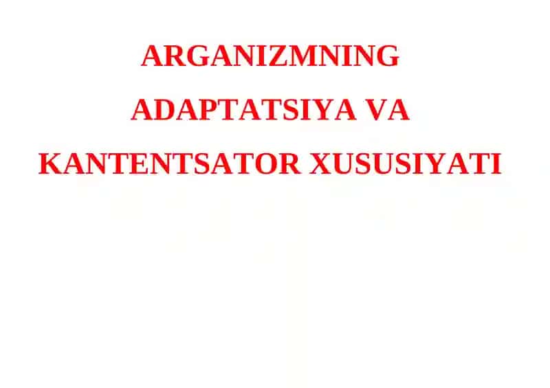 Adaptatsion sindrom