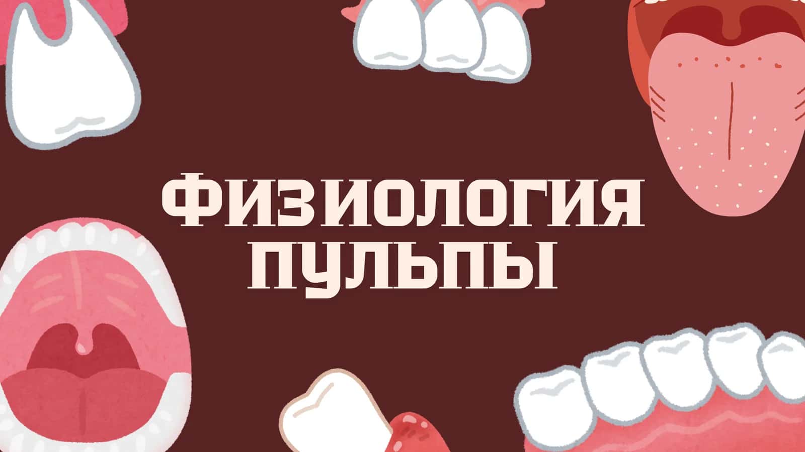 Физиология и гистология пульпы 1
