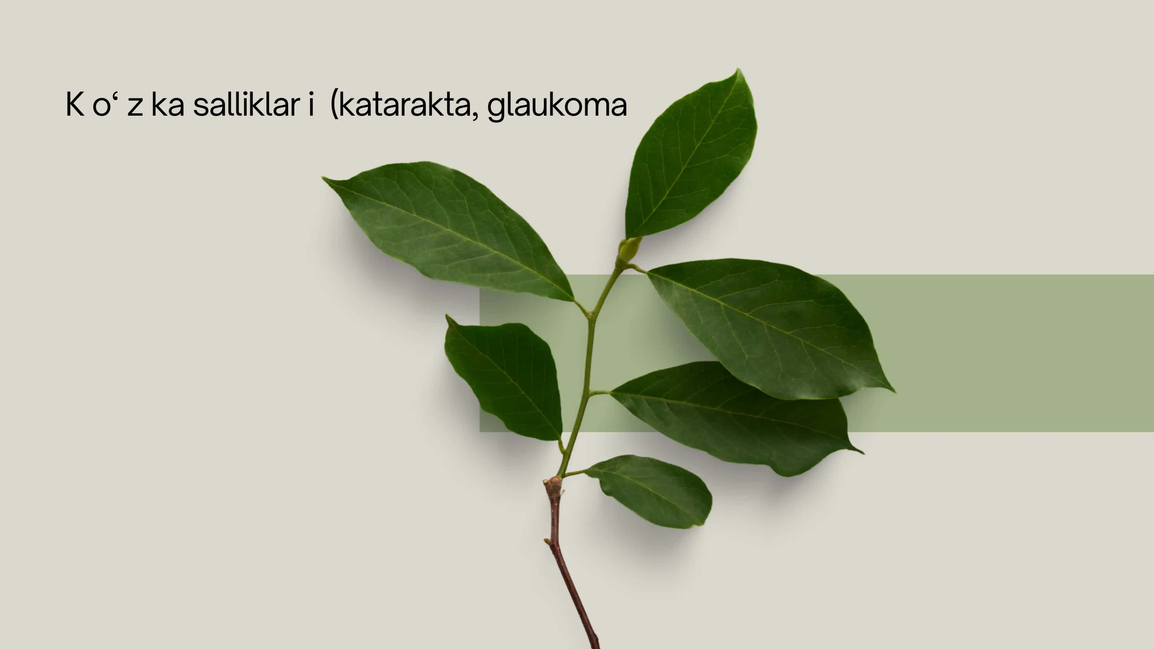 Ko‘z kasalliklari (katarakta, glaukoma) 1