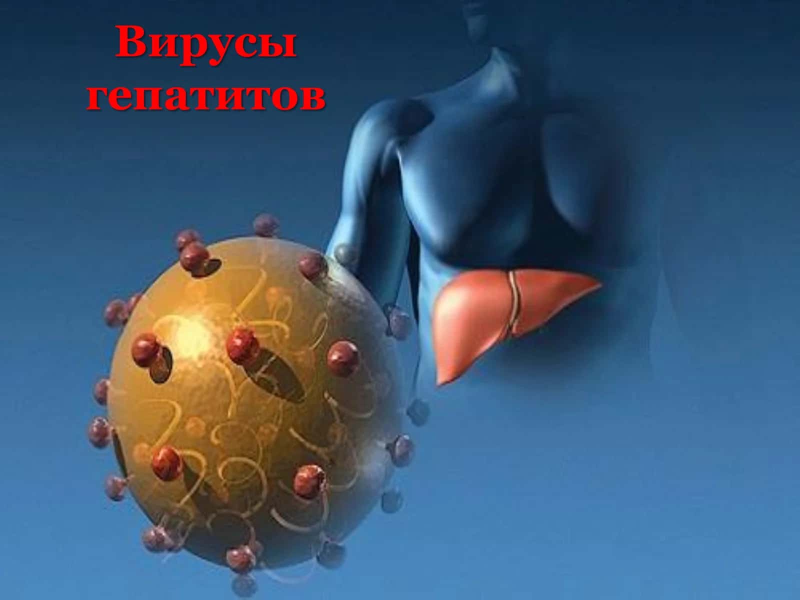 Вирус гепатита А (ВГА) 1