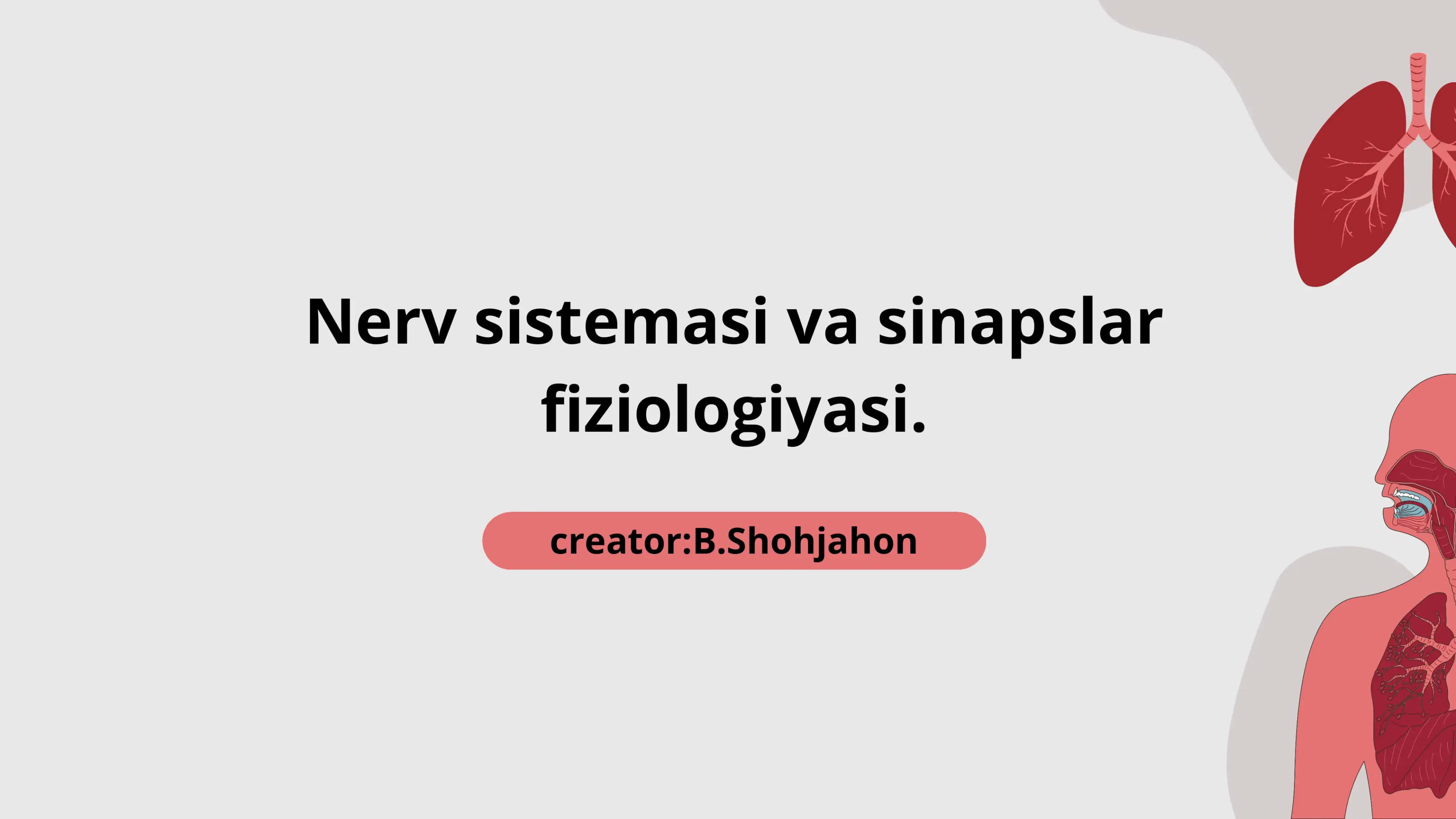 Nerv sistemasi va sinapslar fiziologiyasi 1