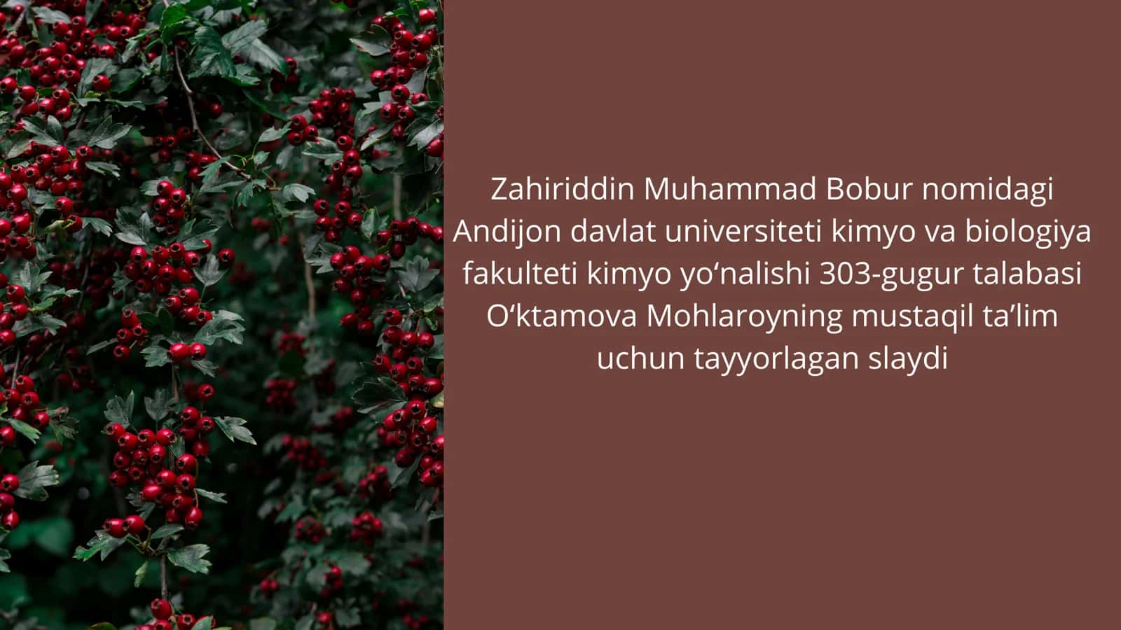 Na'matakning kimyoviy tarkibi 1