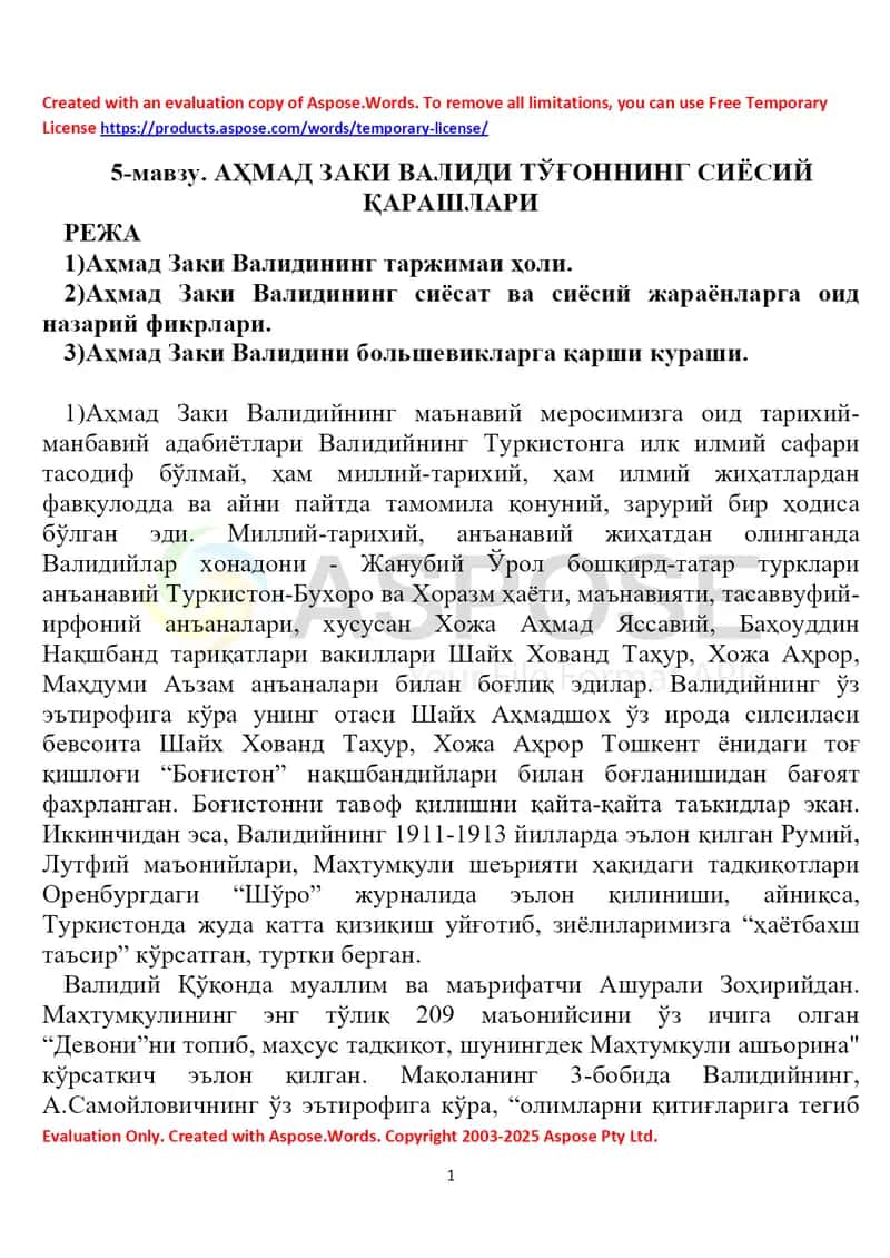 Аҳмад Заки Валидий Тўғоннинг сиёсий қарашлари 1