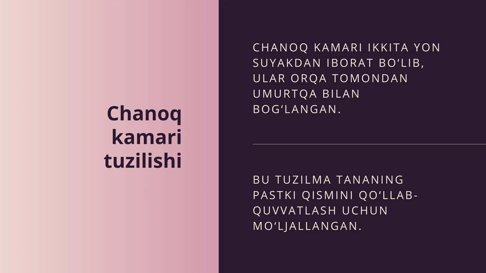 Chanoq kamari tuzilishi 1