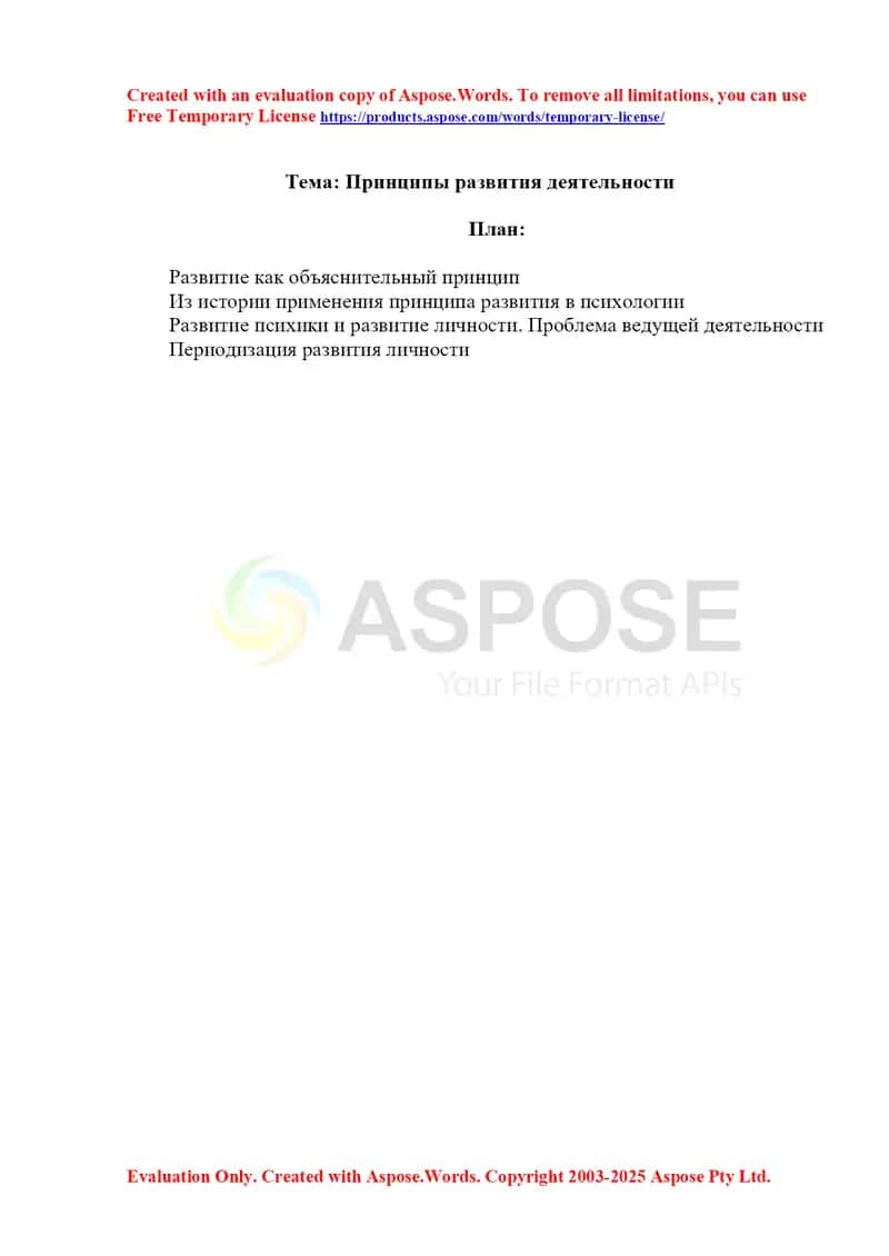 Принципы развития деятельности 1