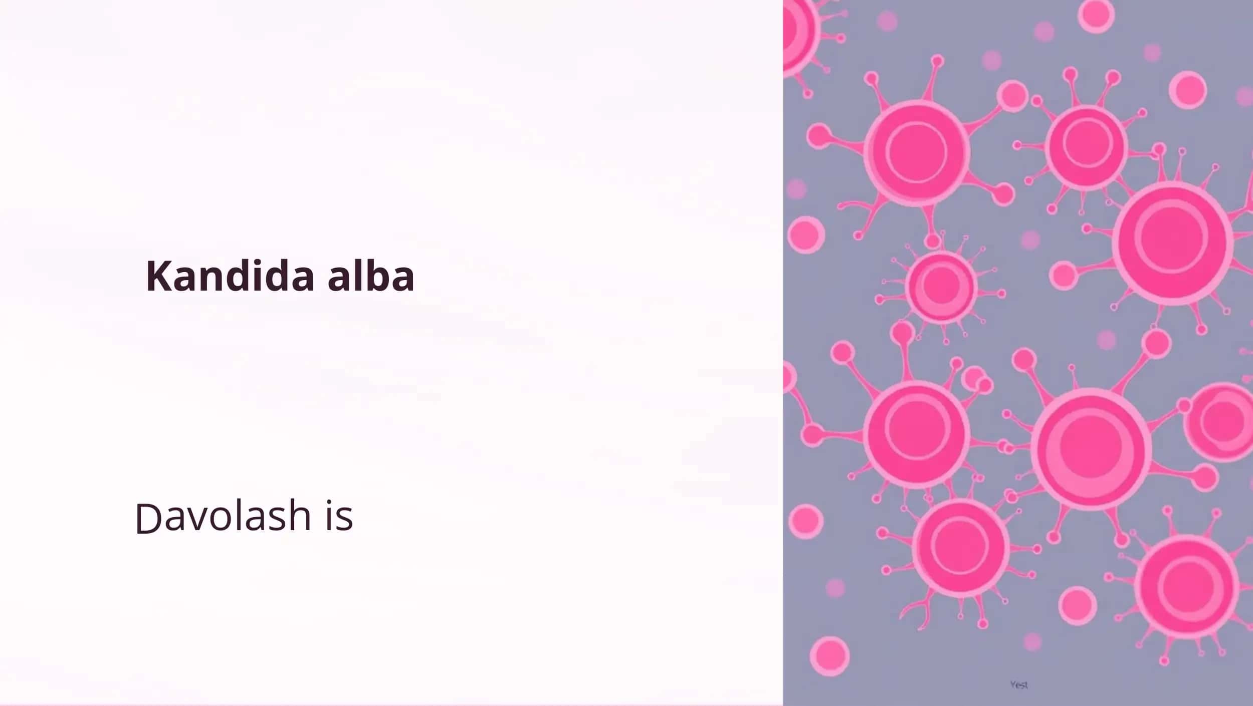 Kandida alba 1