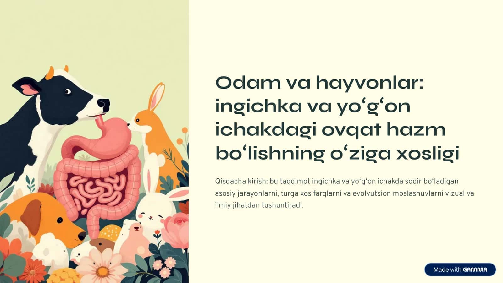 Odam 1
