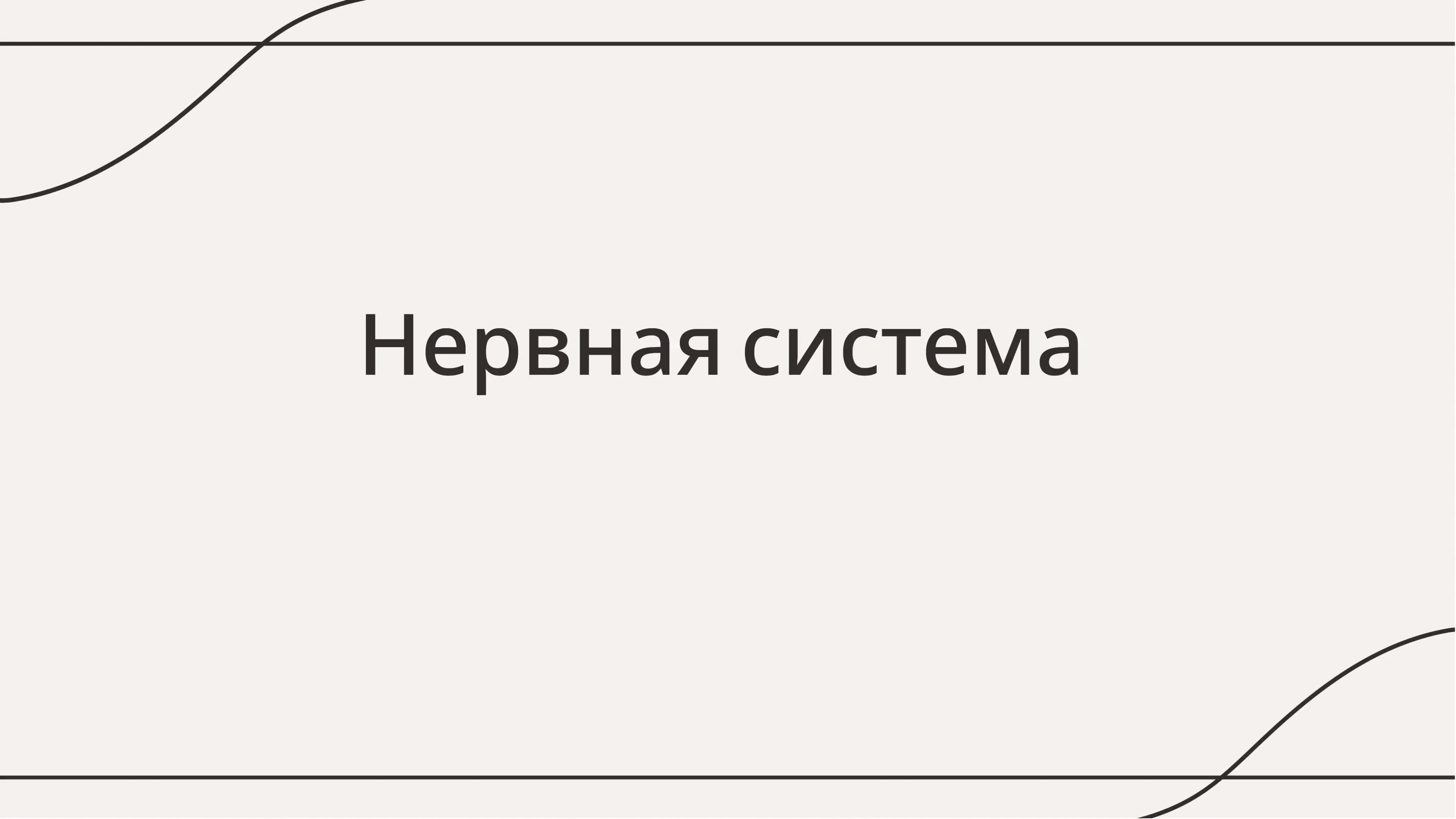 Нервная система 1