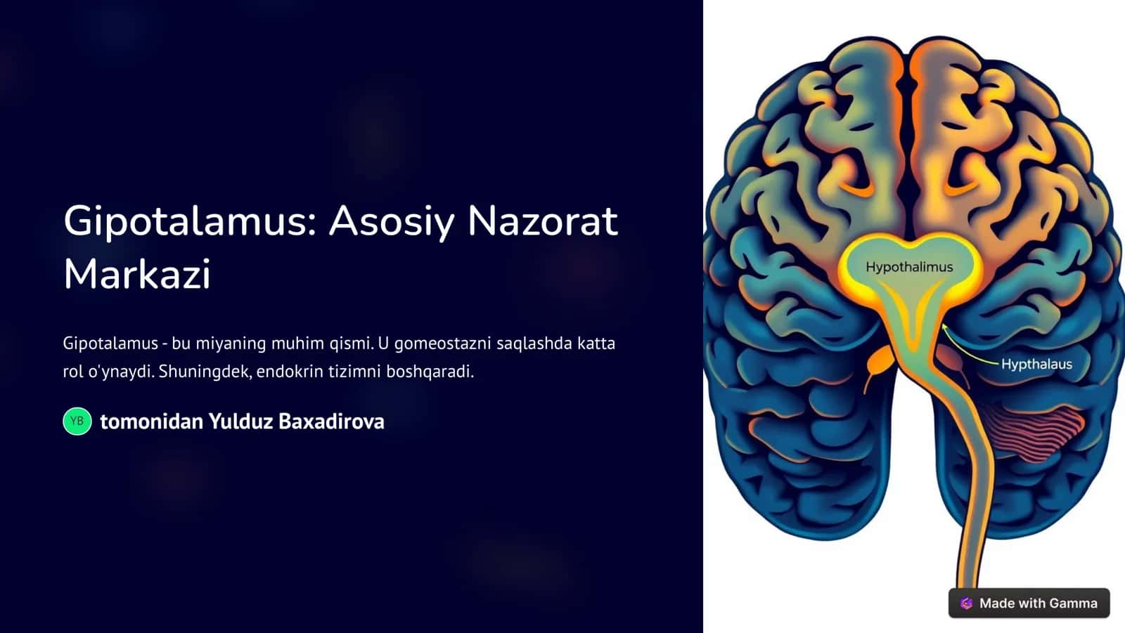 Gipotalamus: Asosiy Nazorat Markazi 1