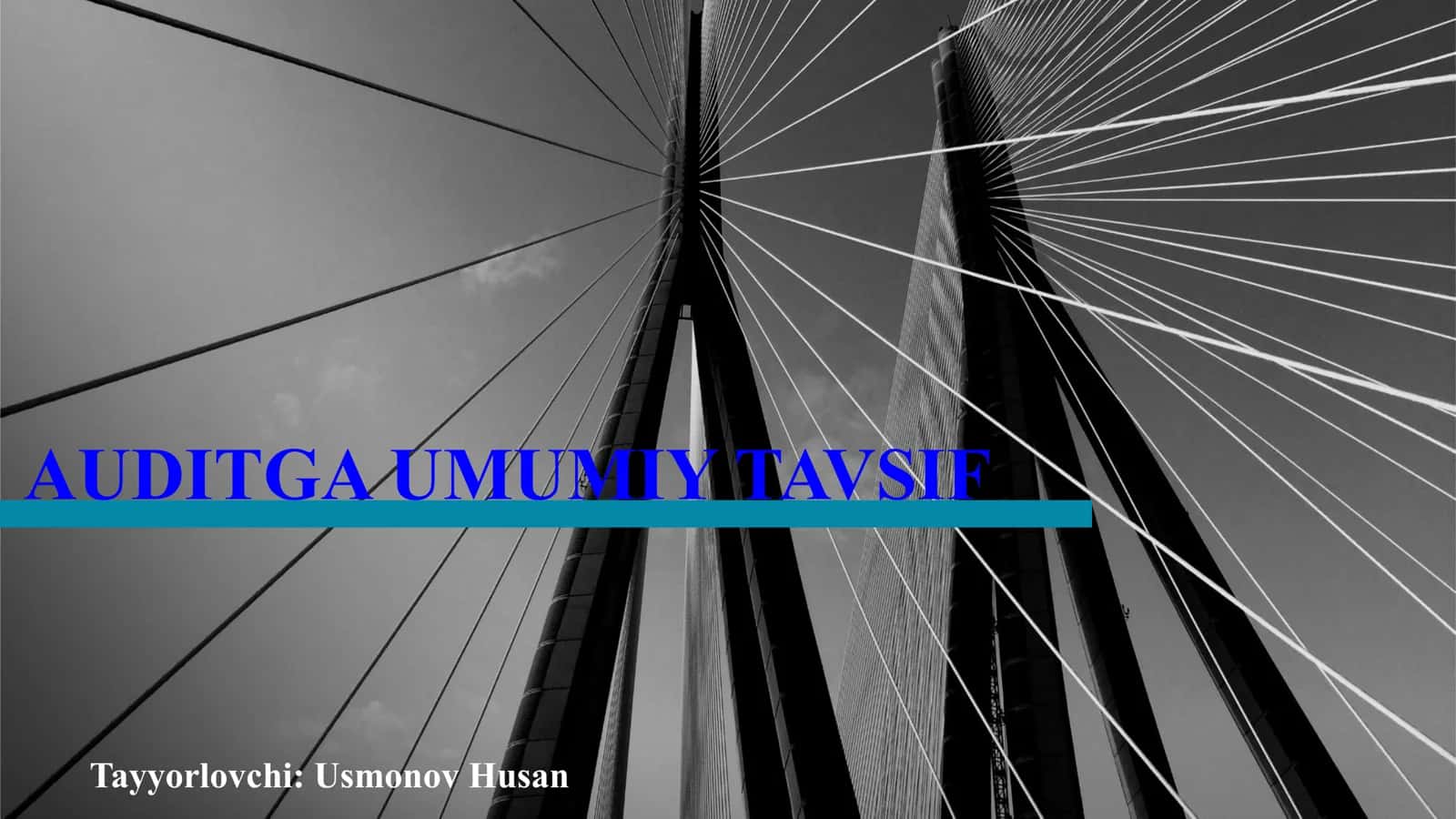 AUDITGA UMUMIY TAVSIF 1