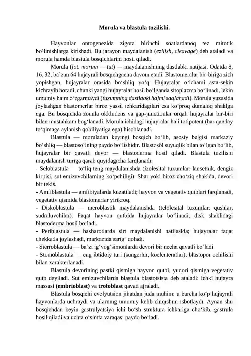 Morula va blastula tuzilishi