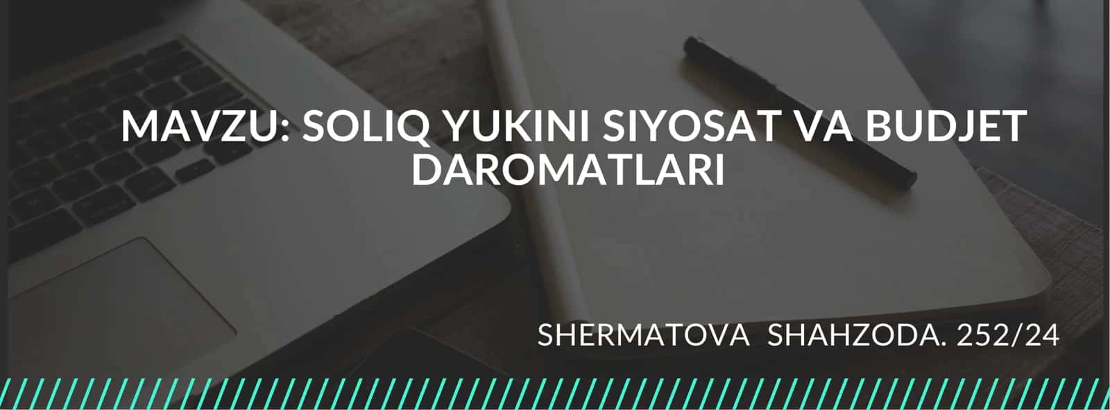 SOLIQ YUKI VA BUDJET DAROMATLARI 1