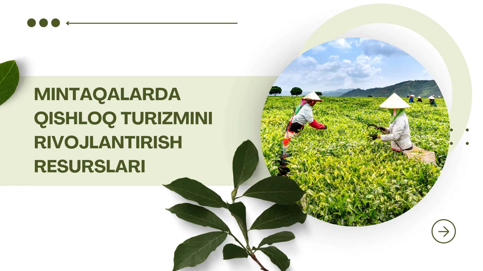 Mintaqalarda qishloq turizmini rivojlantirish resurslari 1