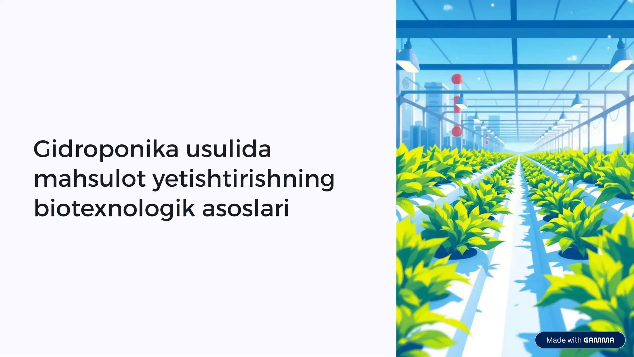 Gidroponika usulida mahsulot yetishtirishning biotexnologik asoslari 1