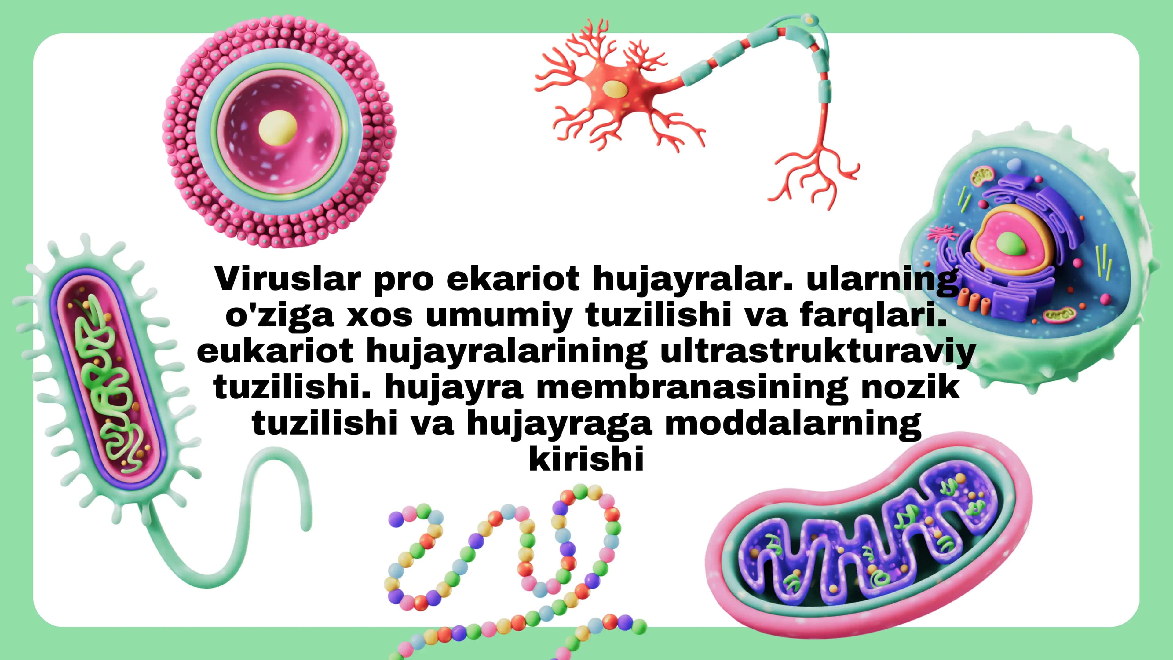 Viruslar haqida umumiy ma'lumot 1