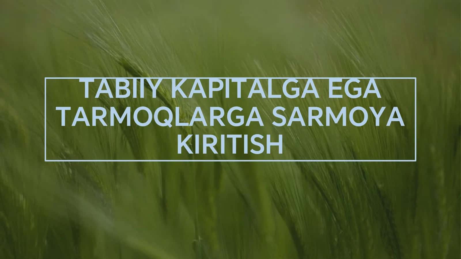 TABIIY KAPITALGA EGA 1