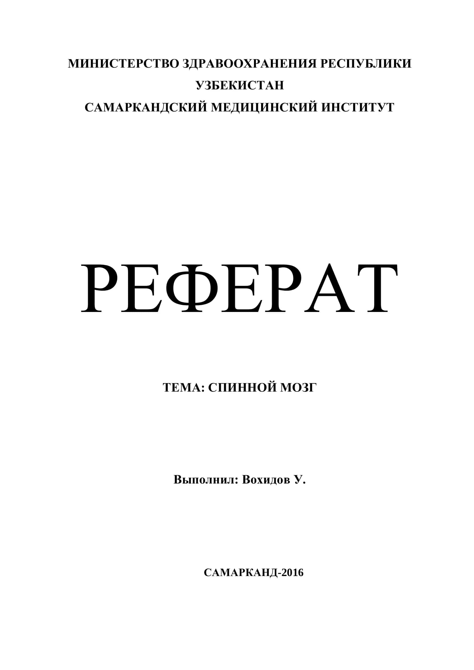 СПИННОЙ МОЗГ 1