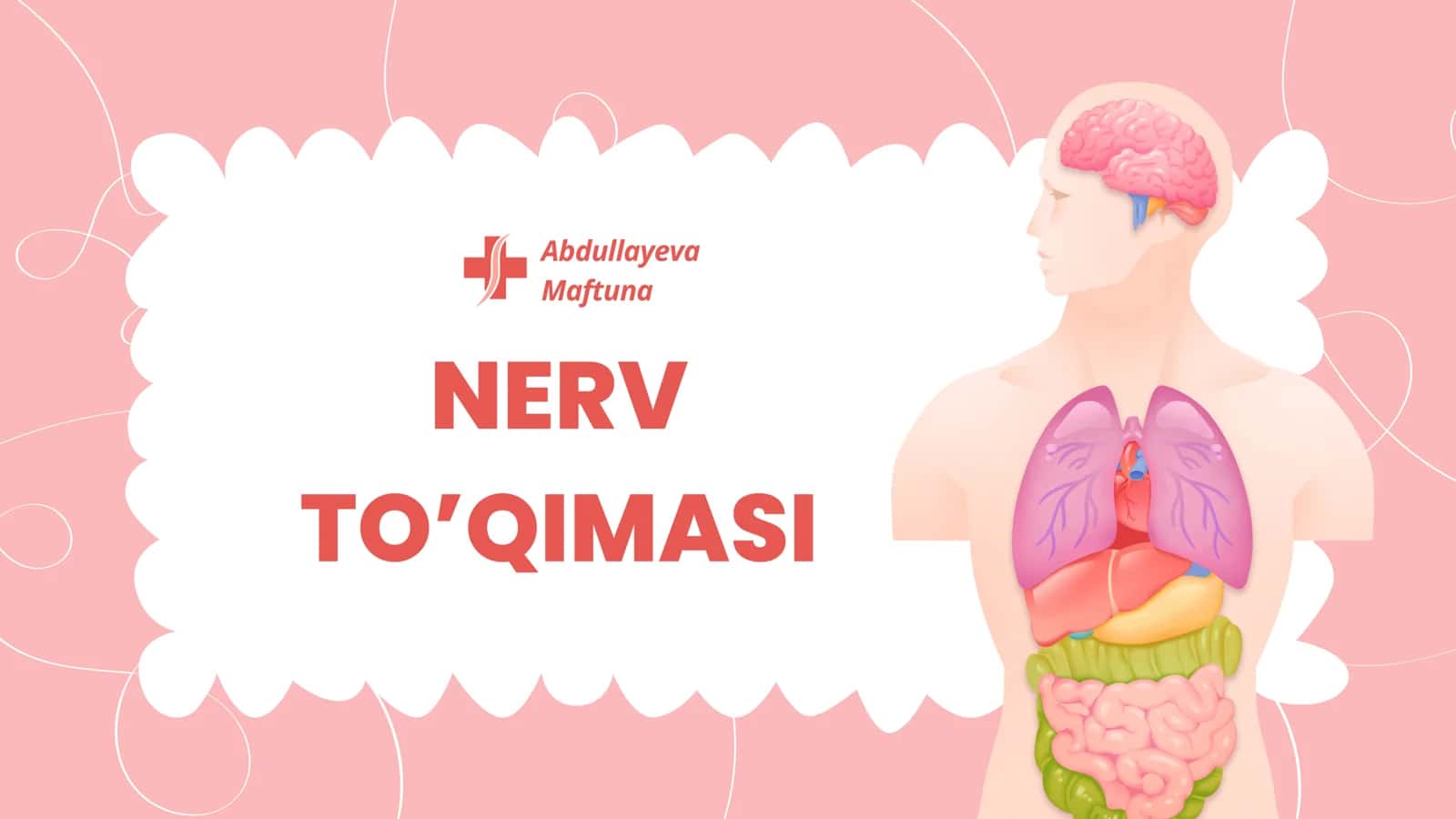Nerv toʻqimasi 1