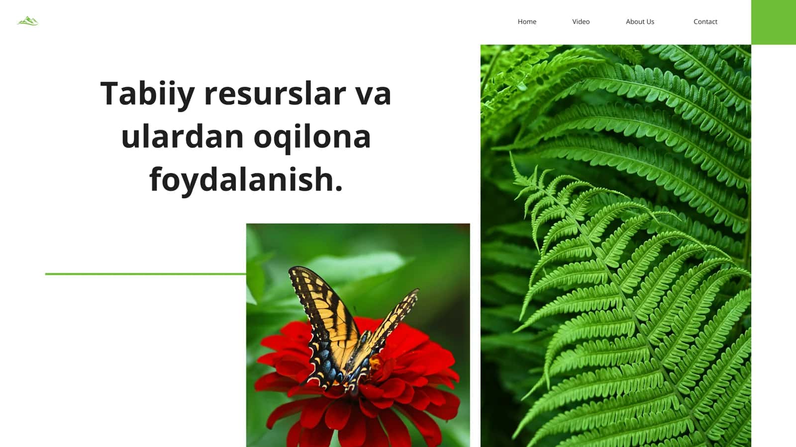 Tabiat resurslari 1