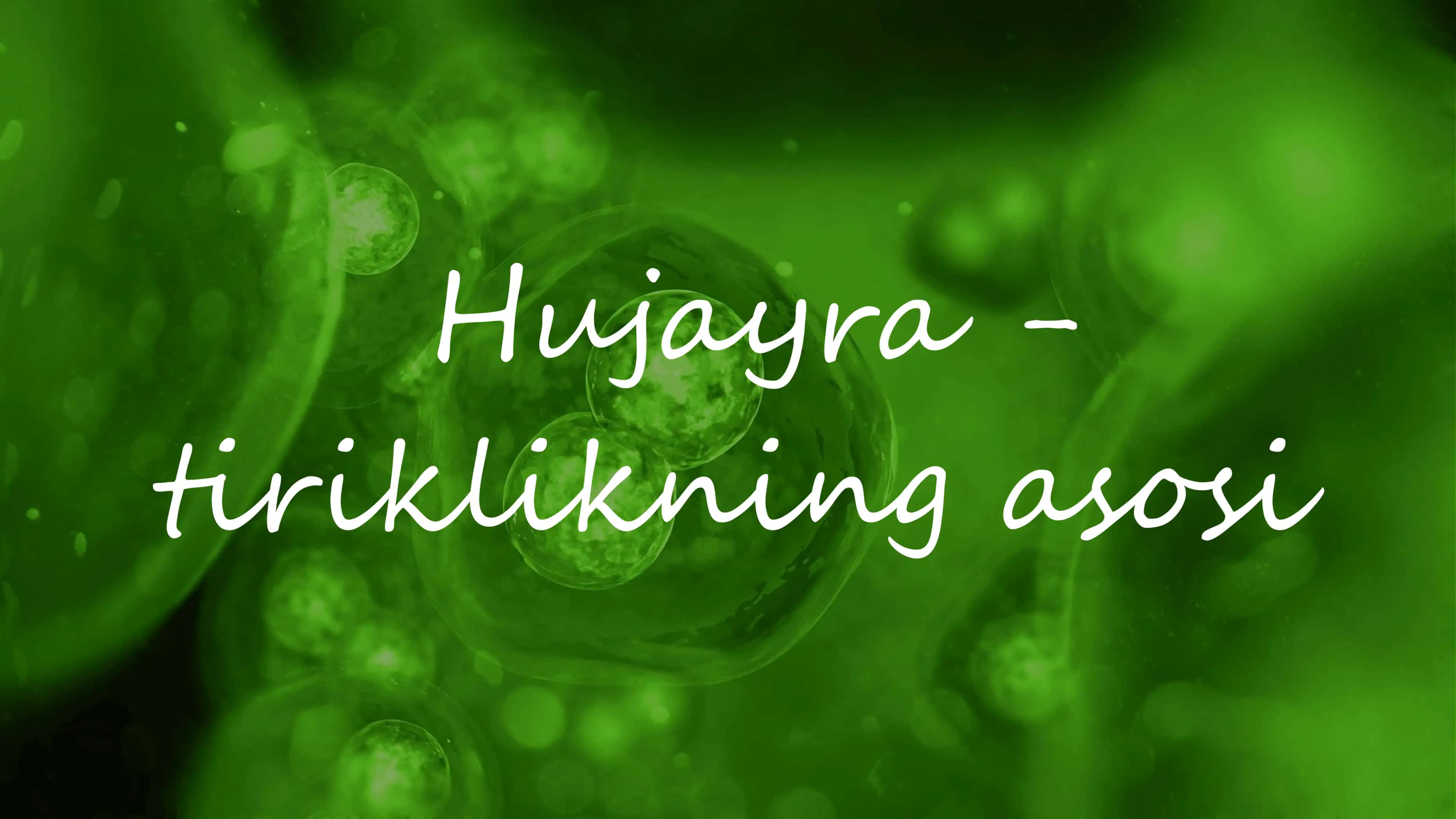 Hujayra - tiriklikning asosi 1