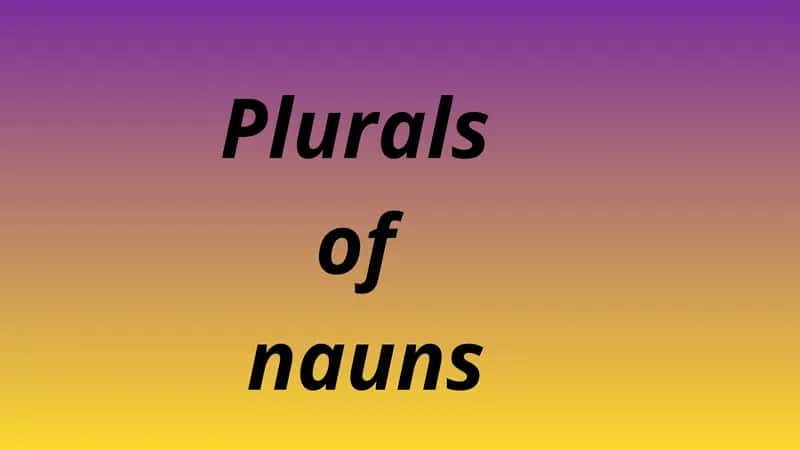 Plurals of Nouns