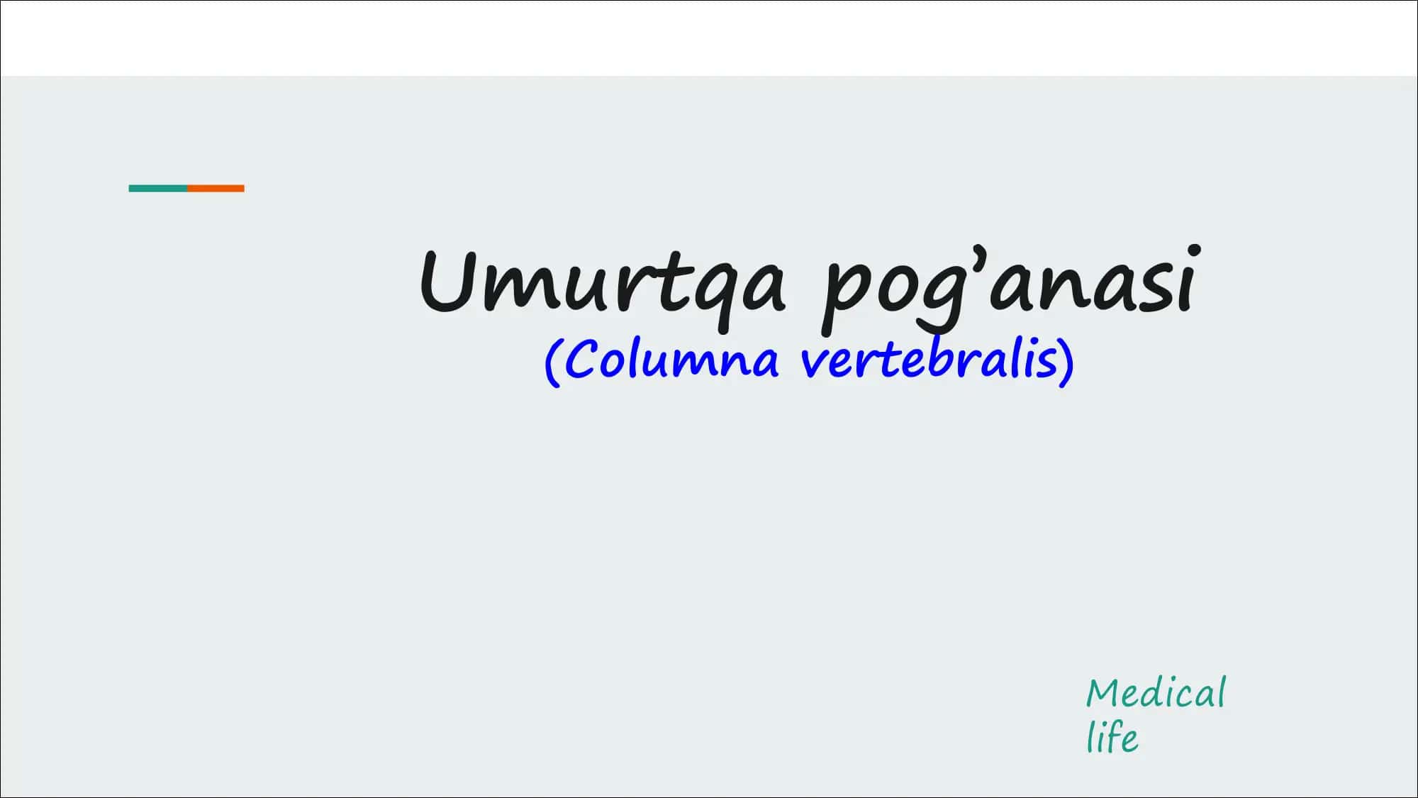 Umurtqa pog’anasi 1