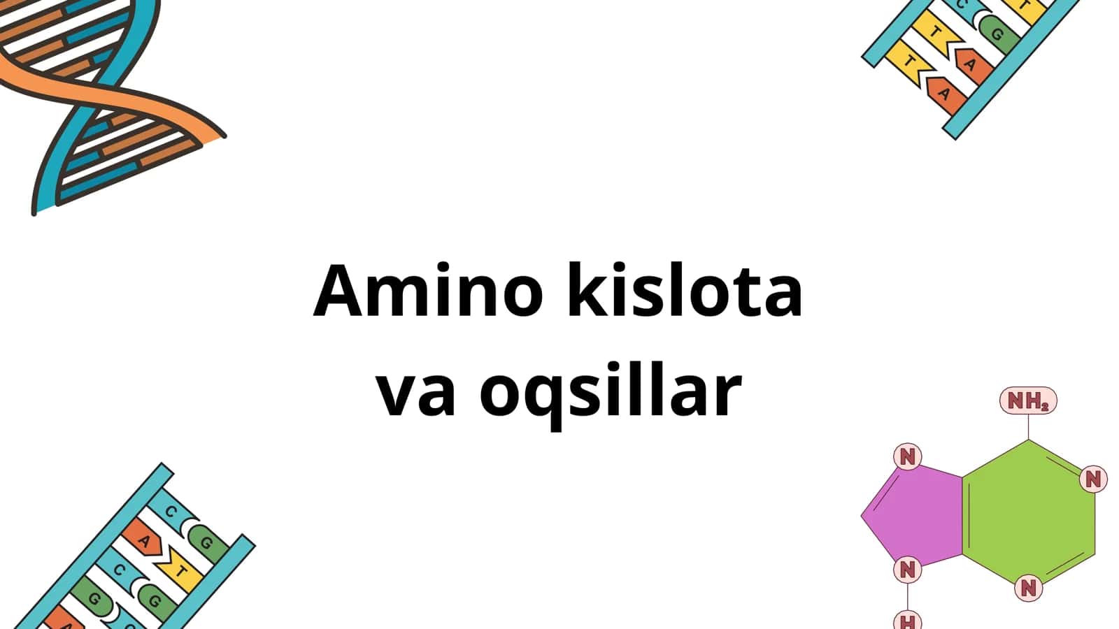 Amino kislota va oqsillar 1