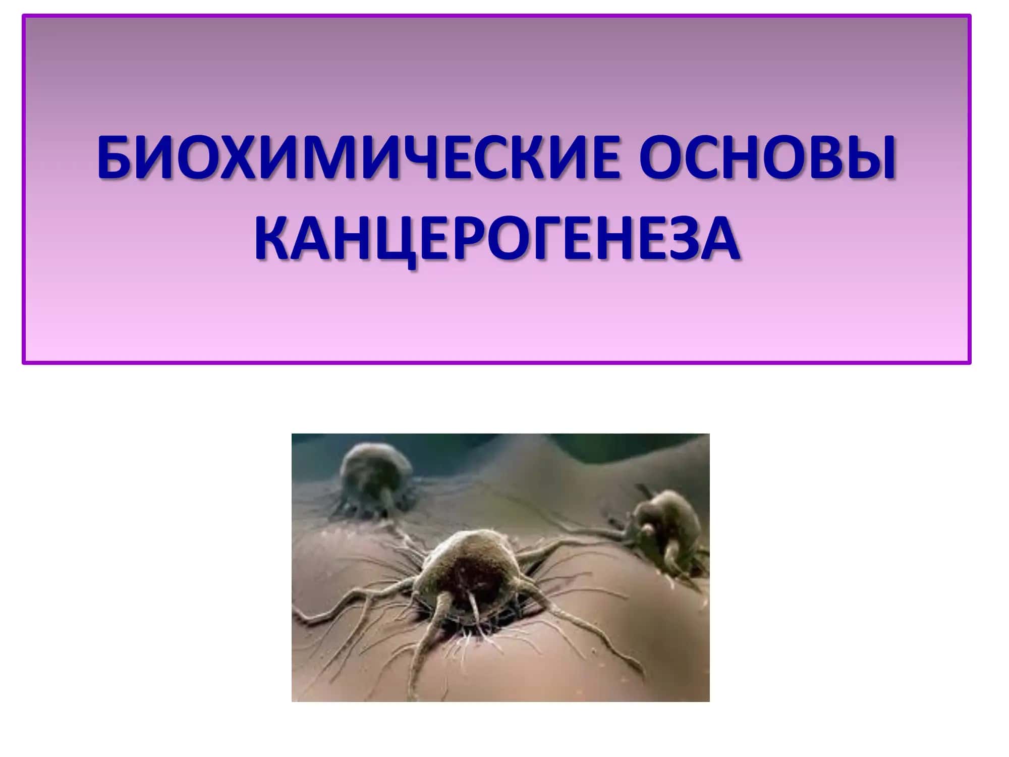 БИОХИМИЧЕСКИЕ ОСНОВЫ КАНЦЕРОГЕНЕЗА 1