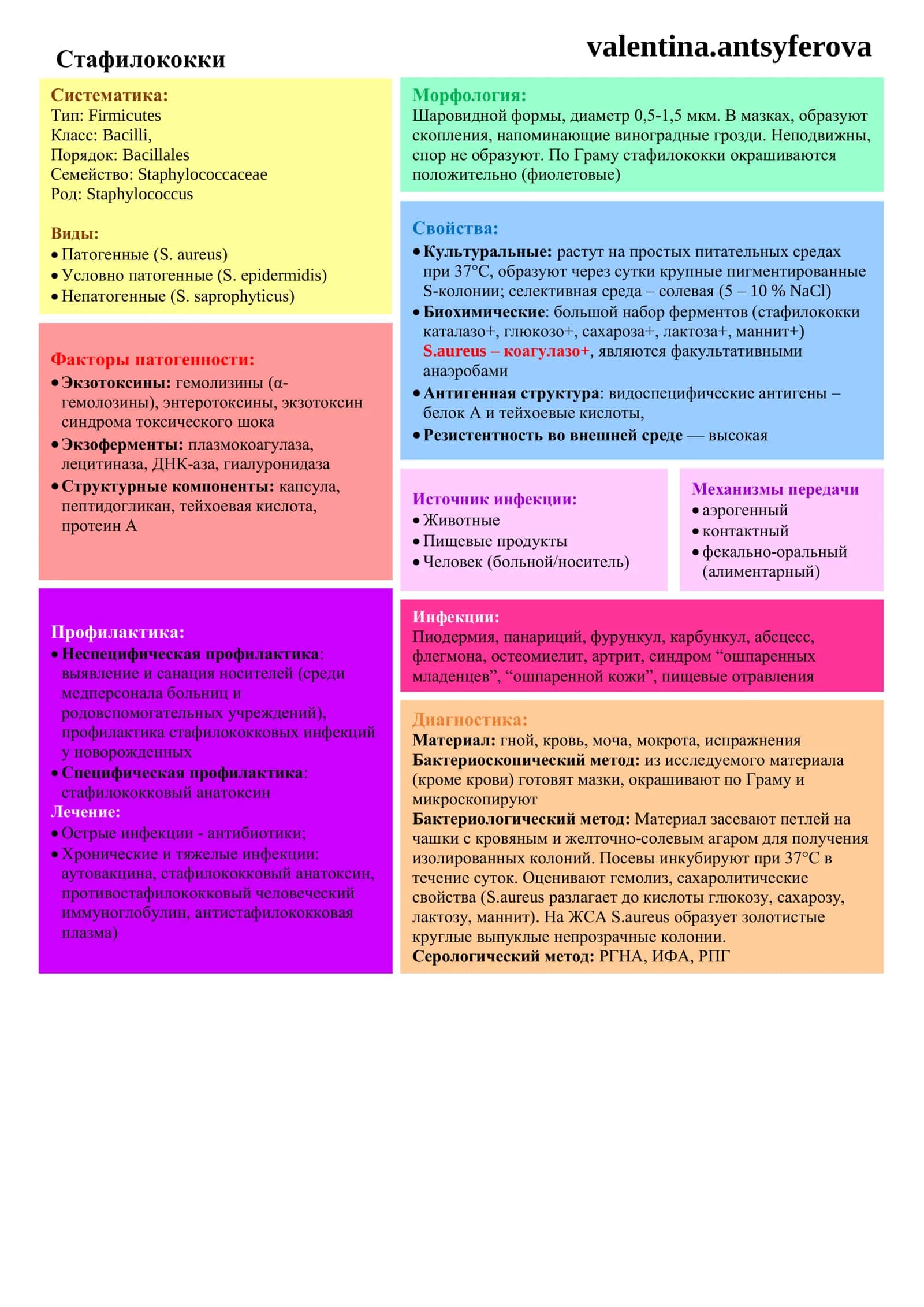 Стафилококки 1