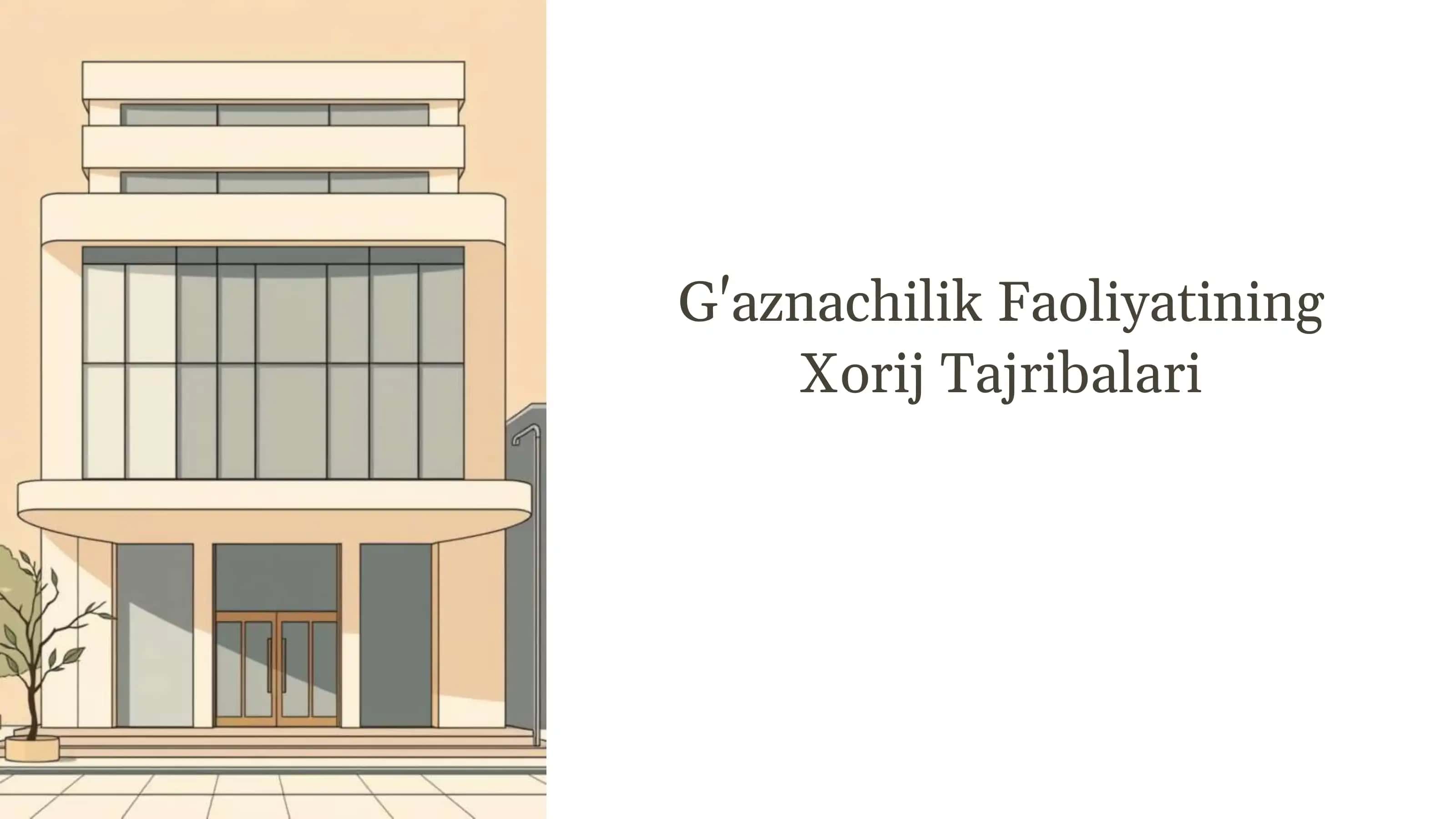 G'aznachilik faoliyatining Xorij tajribalari 1