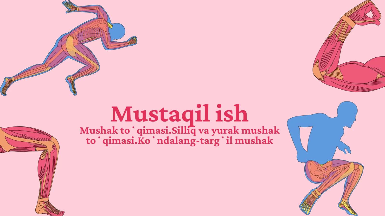 Mushak to'qimasi 1