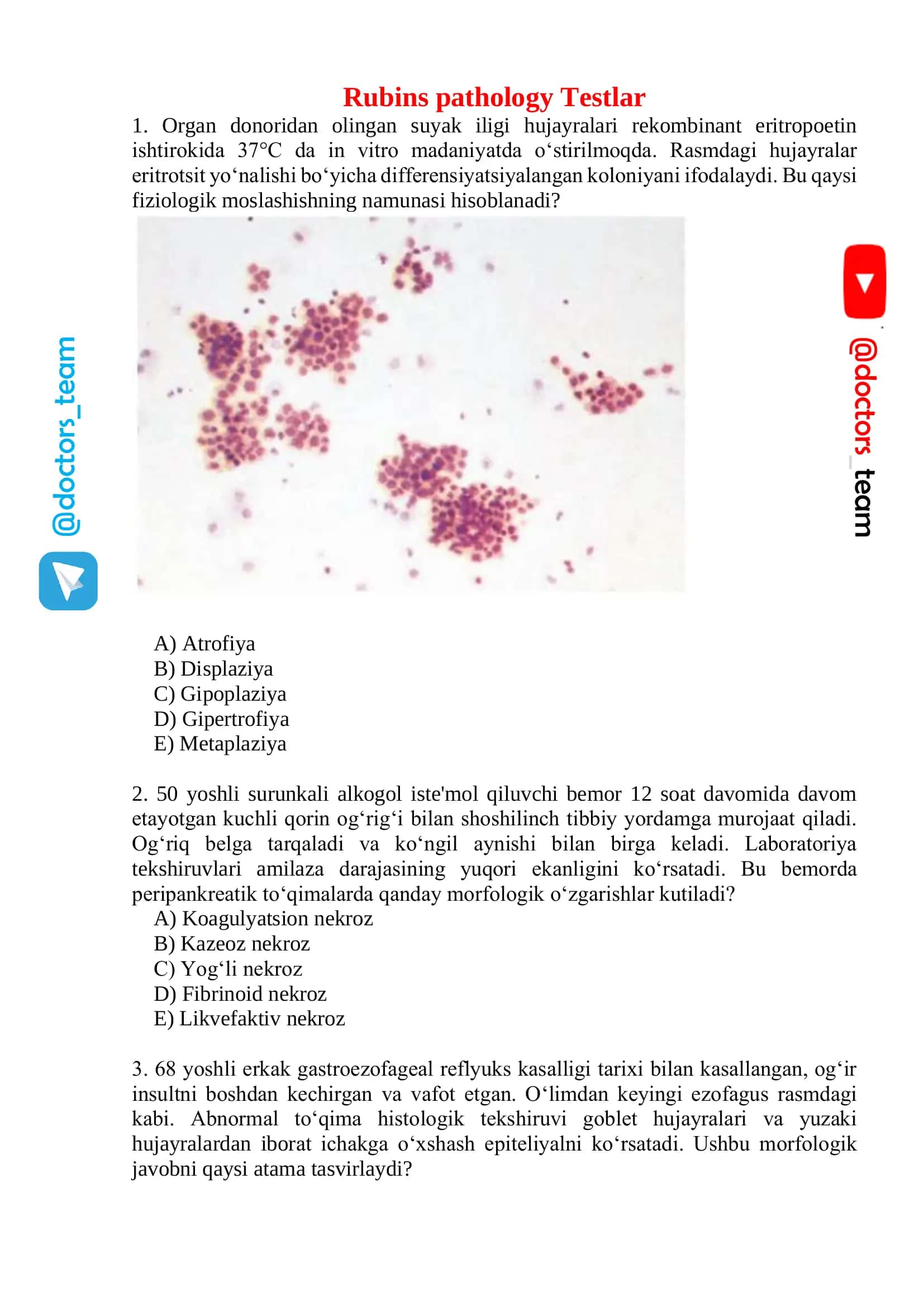 Rubins pathology Testlar 1