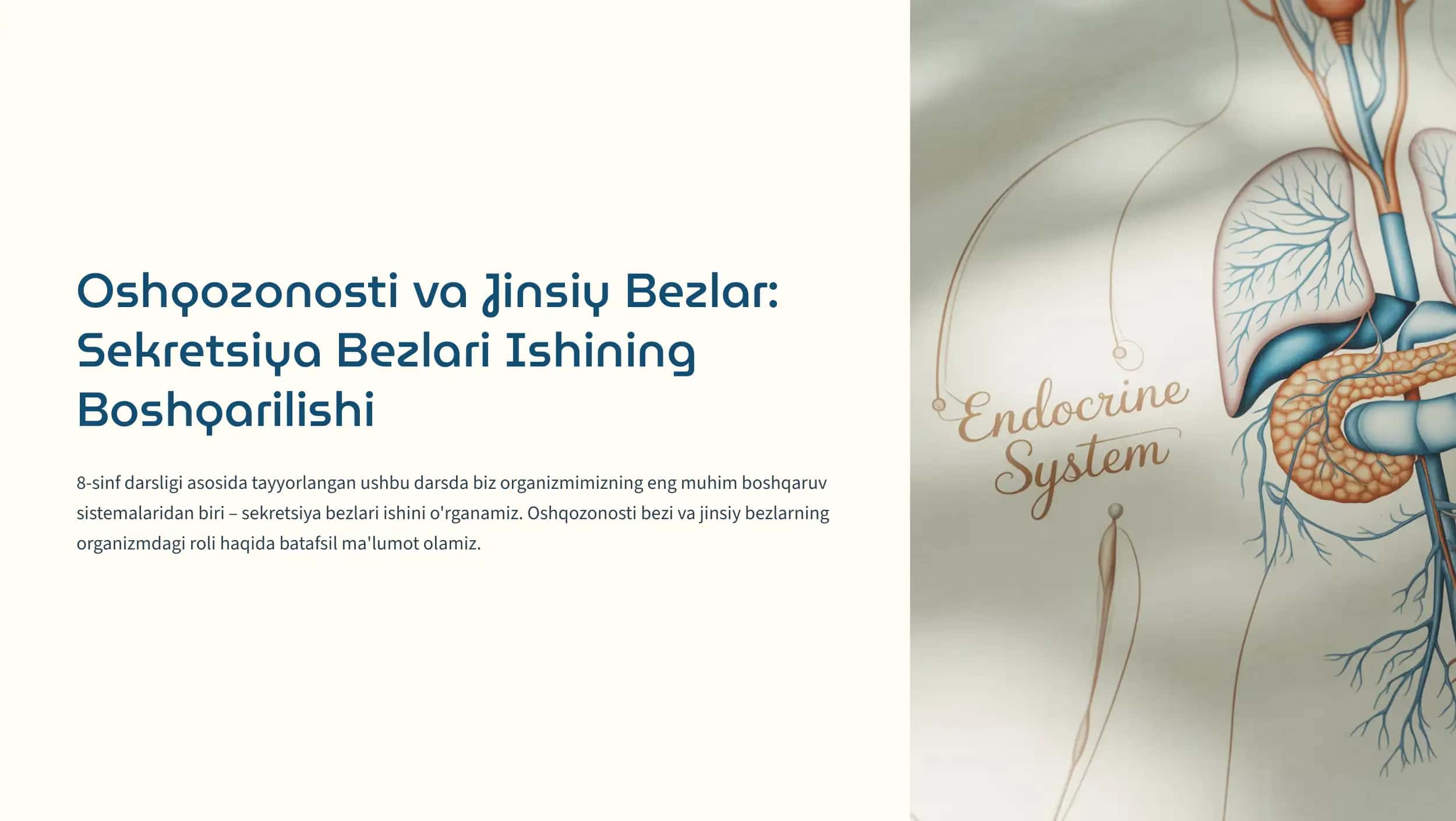 Oshqozonosti va Jinsiy Bezlar 1
