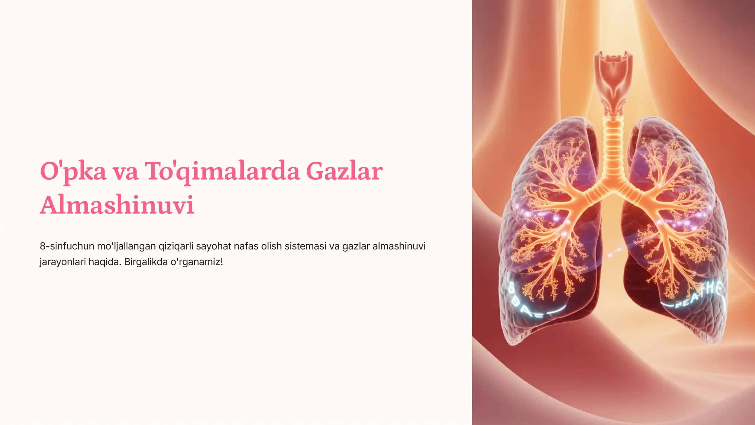 O'pka va To'qimalarda Gazlar Almashinuvi 1