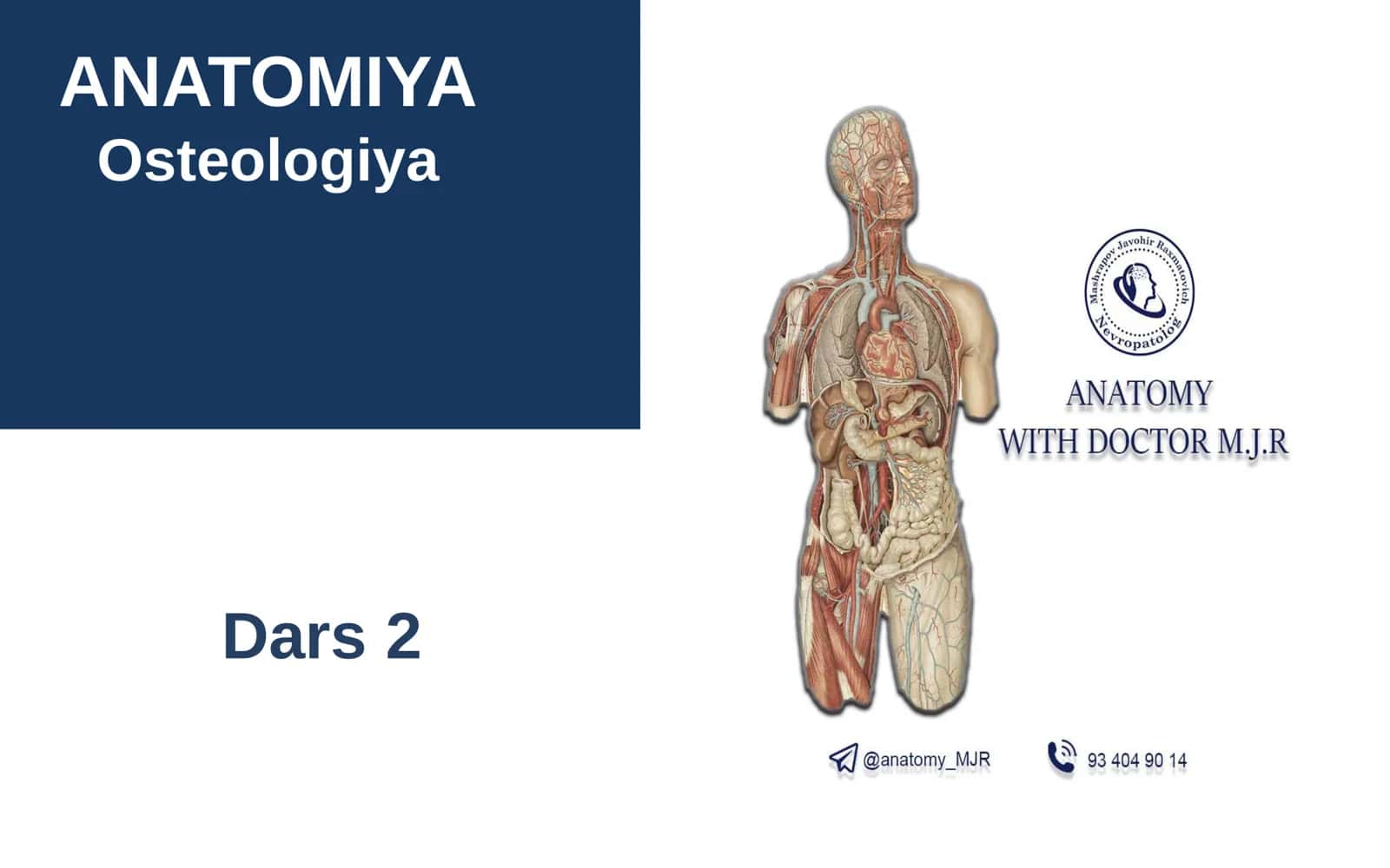 ANATOMIYA Osteologiya Dars 2 1