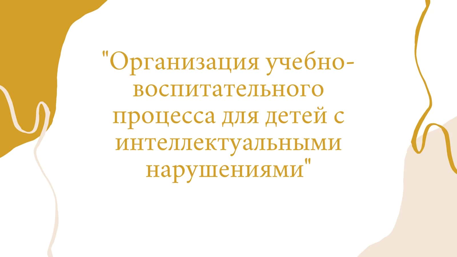 Организация учебно-воспитательного процесса для детей с интеллектуальными нарушениями" 1