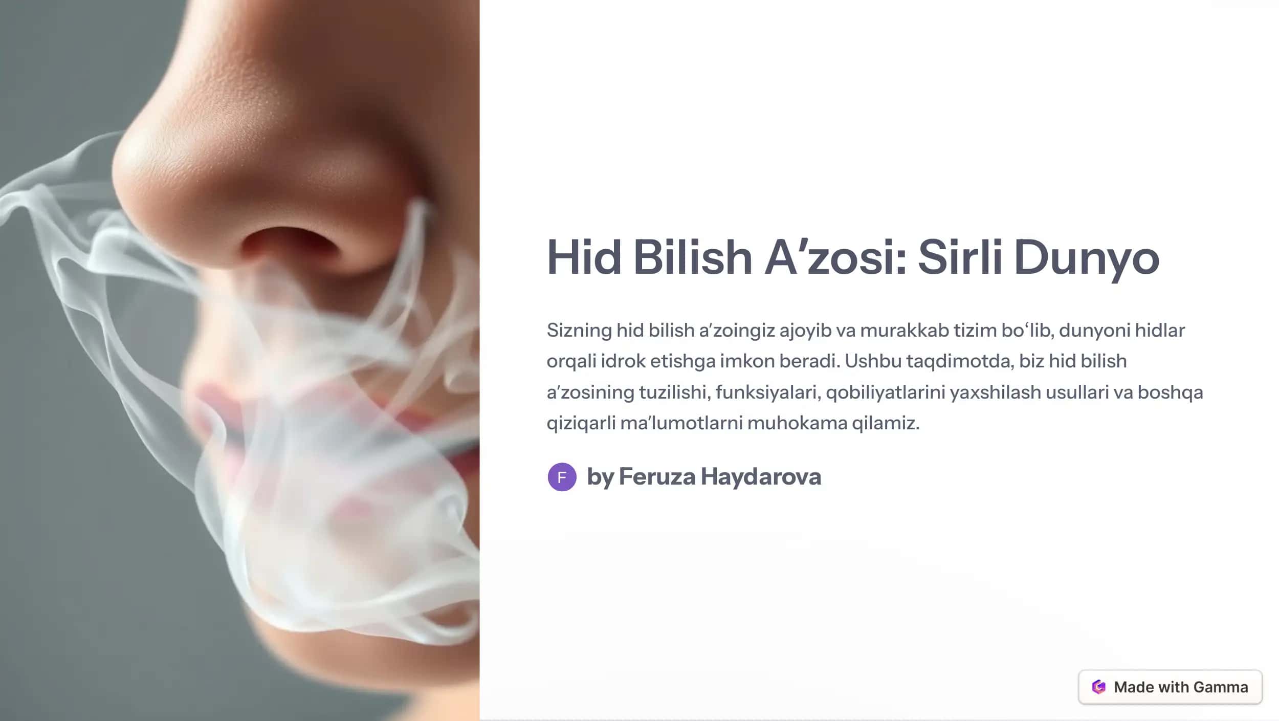 Hid Bilish Aʼzosi: Sirli Dunyo 1