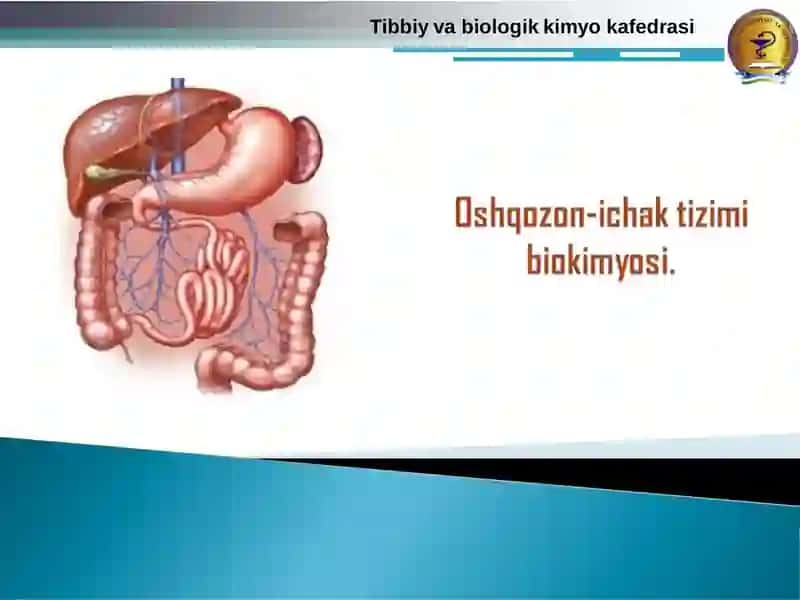 So’lak, OIT, MOB va jigarning sekretor mаhsulоtlаri va ulardagi metabolitik va bоshqаruv jarayonlari