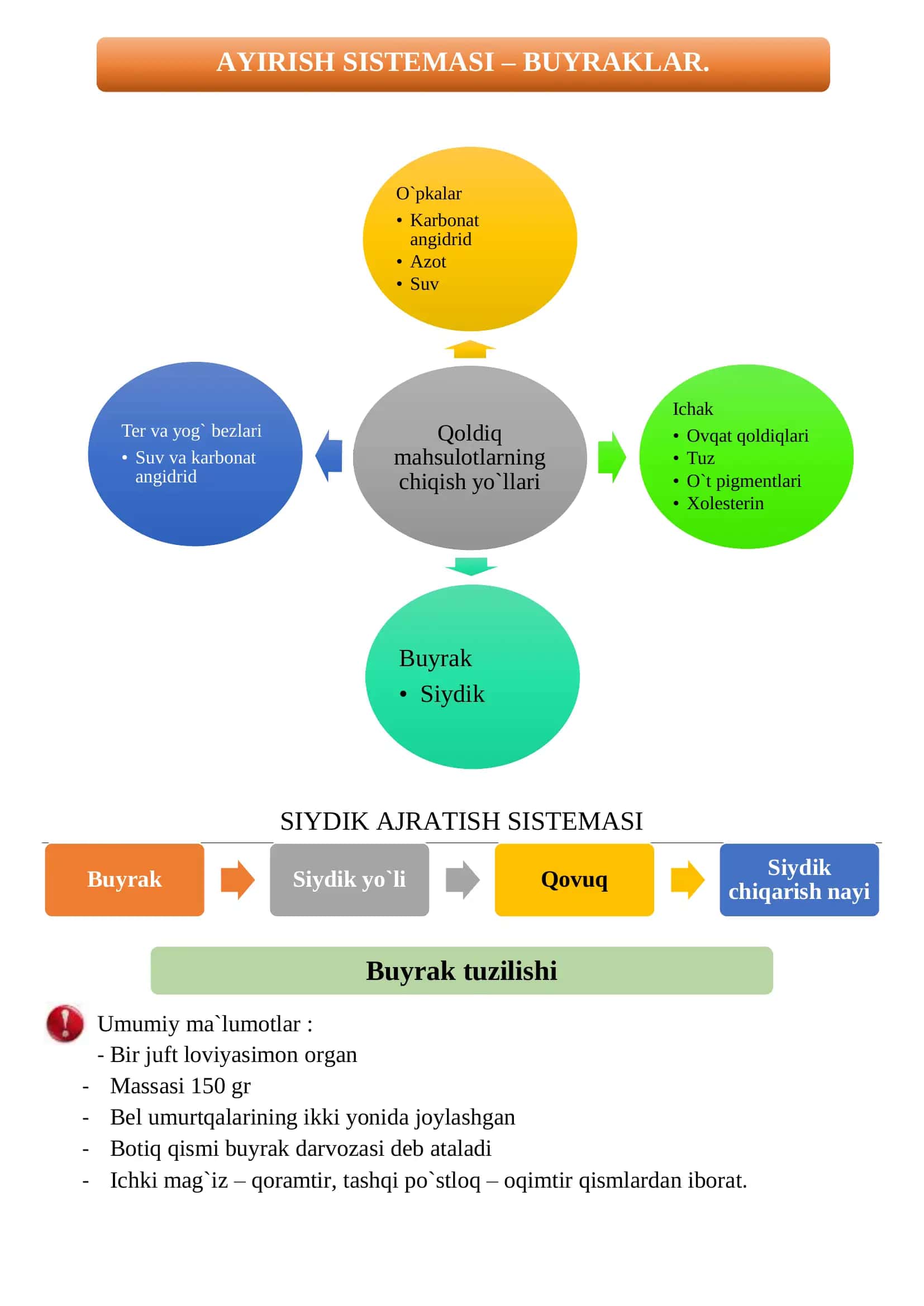 AYIRISH SISTEMASI – BUYRAKLAR. 1